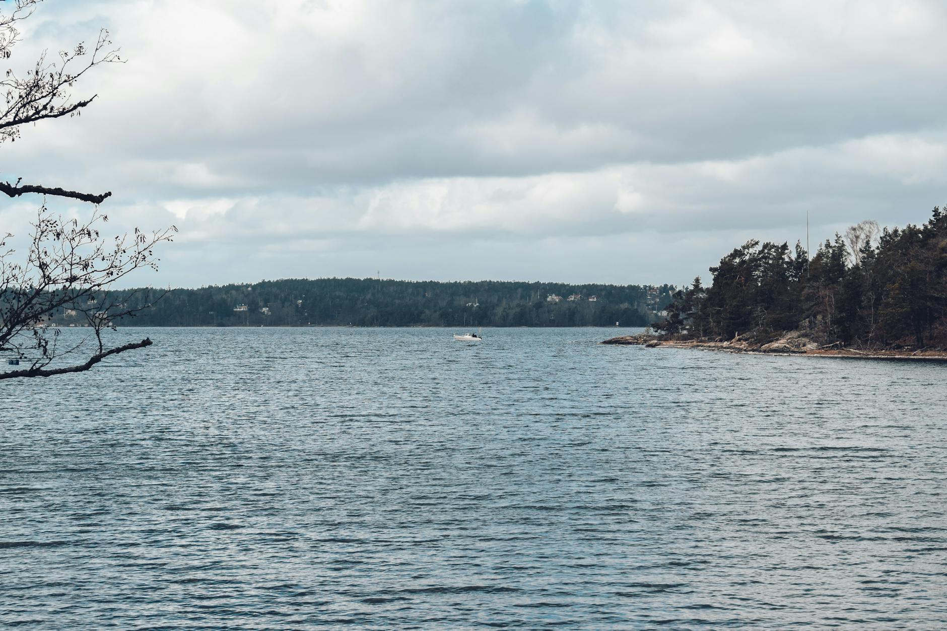 Forested Stockholm archipelago water for island timing planning.