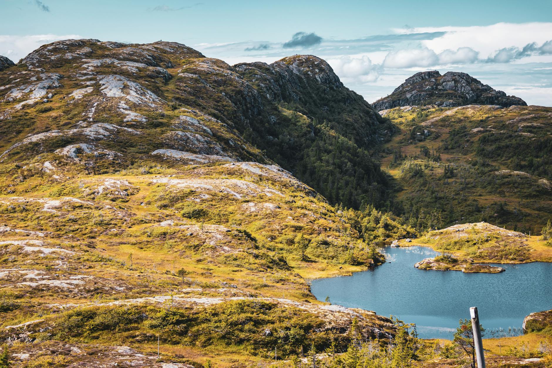 Green mountains near Trondheim for water-activity backup planning.