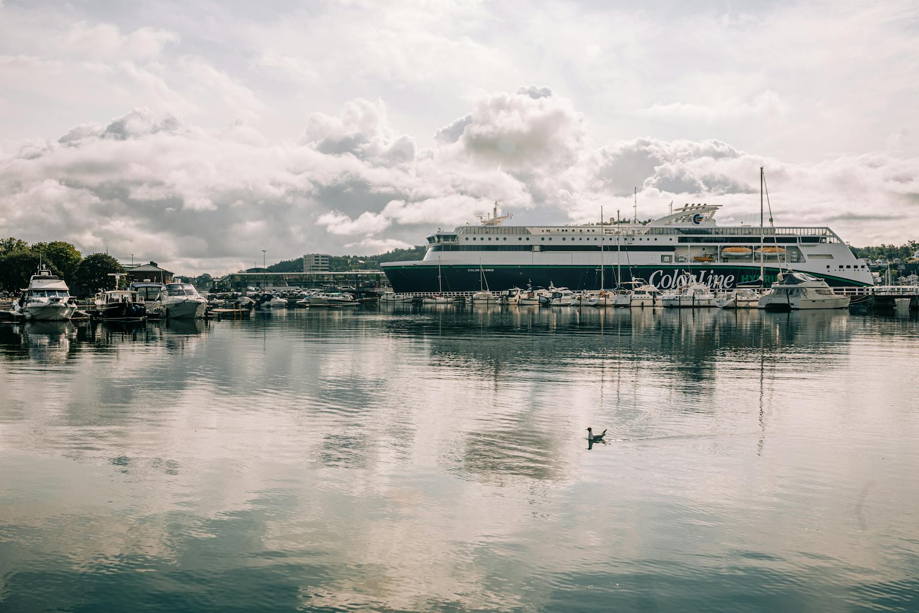 Cruise ship and boats in port for Trondheim weather planning.