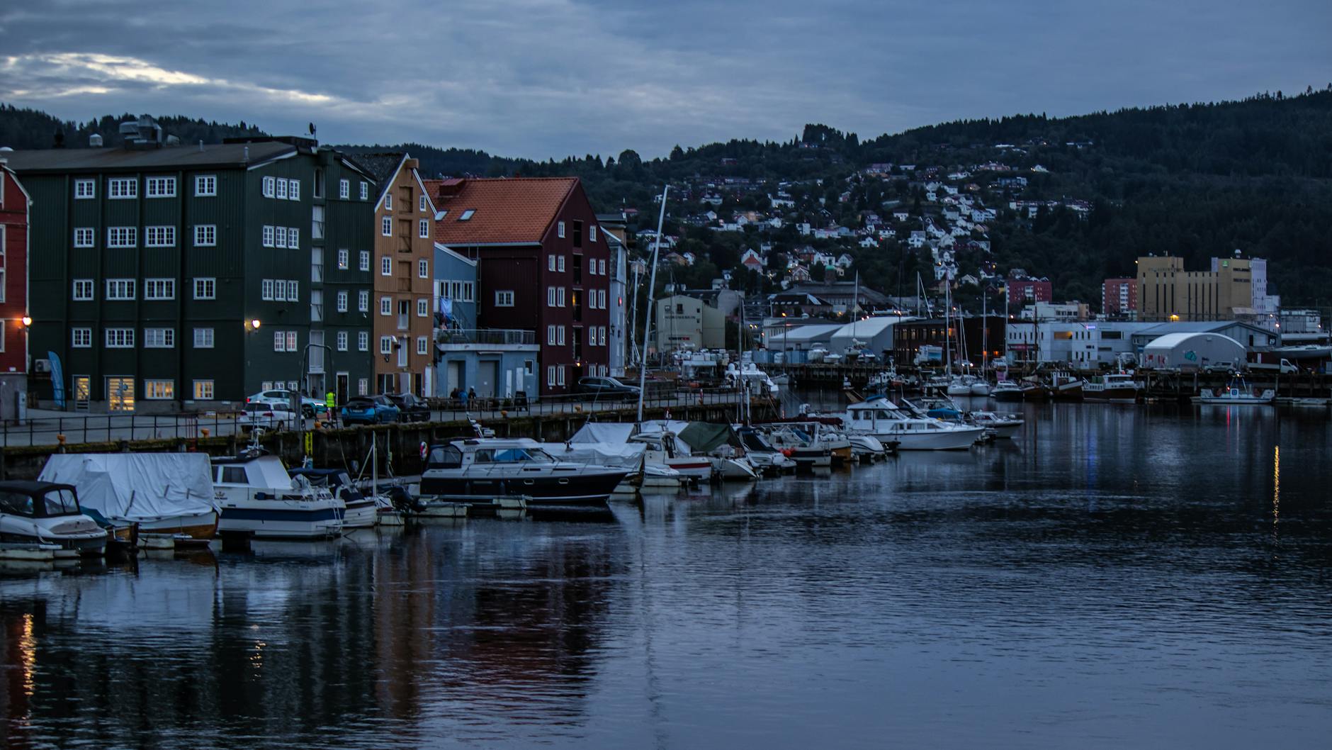 Trondheim cafe setting for first-time visitor meal planning.