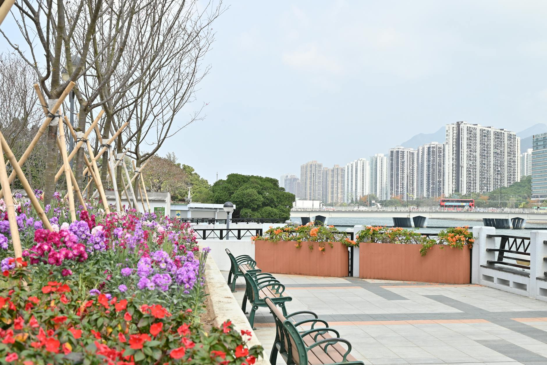 Tsim Sha Tsui promenade and older traveler weather planning context.