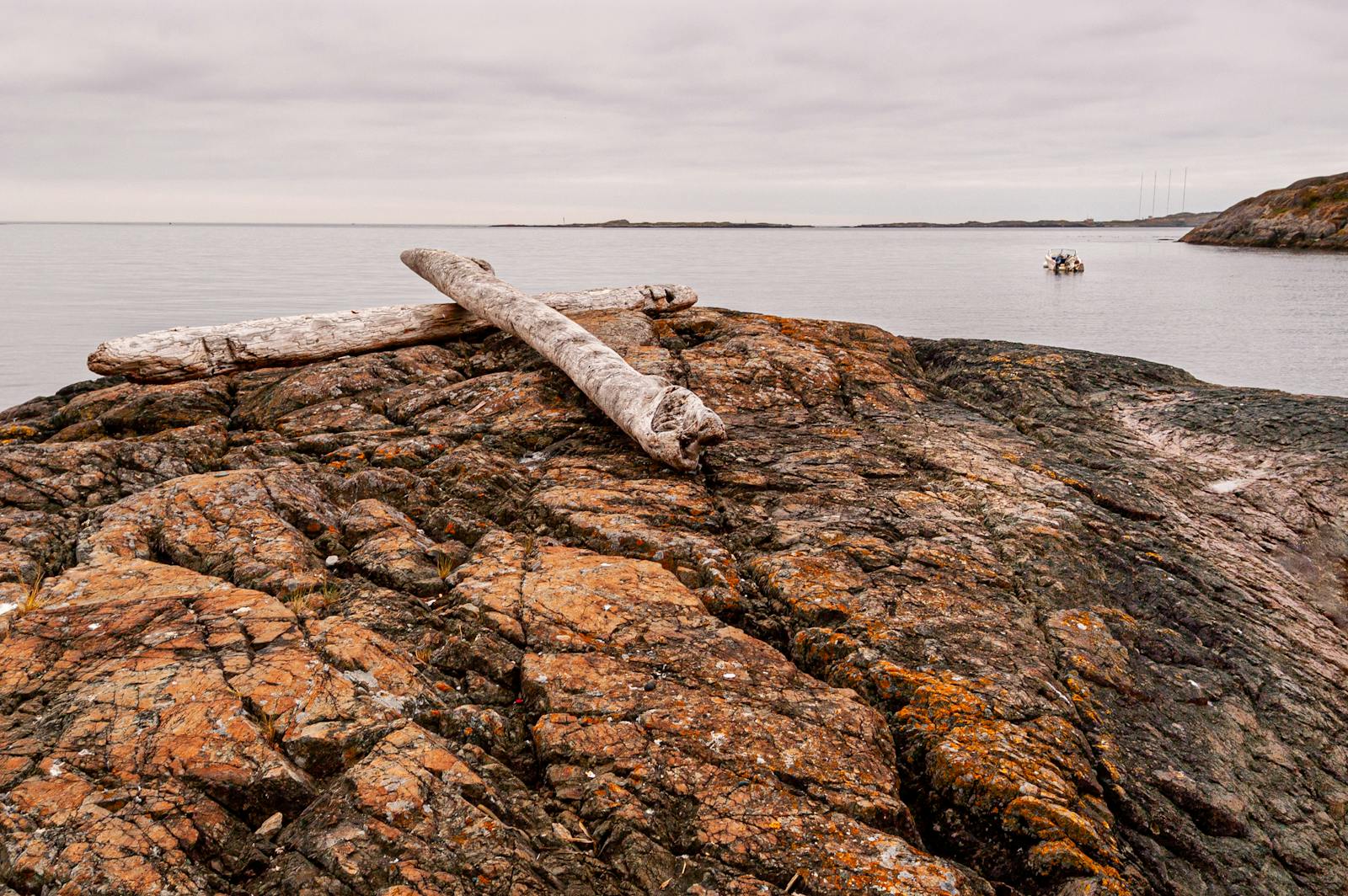 Tranquil rocky coastline with driftwood in Victoria, BC, under an overcast sky.