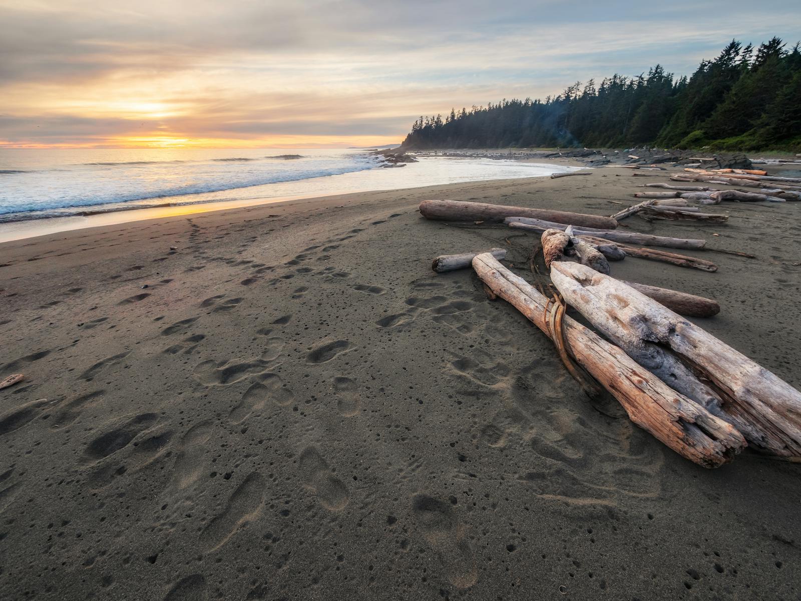 Calm sunset at a driftwood-strewn beach on Vancouver Island.