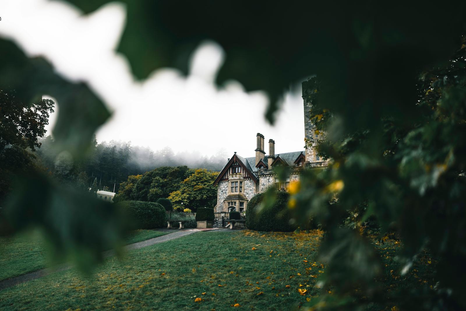 A picturesque stone house surrounded by lush greenery and misty forest in Victoria, BC.