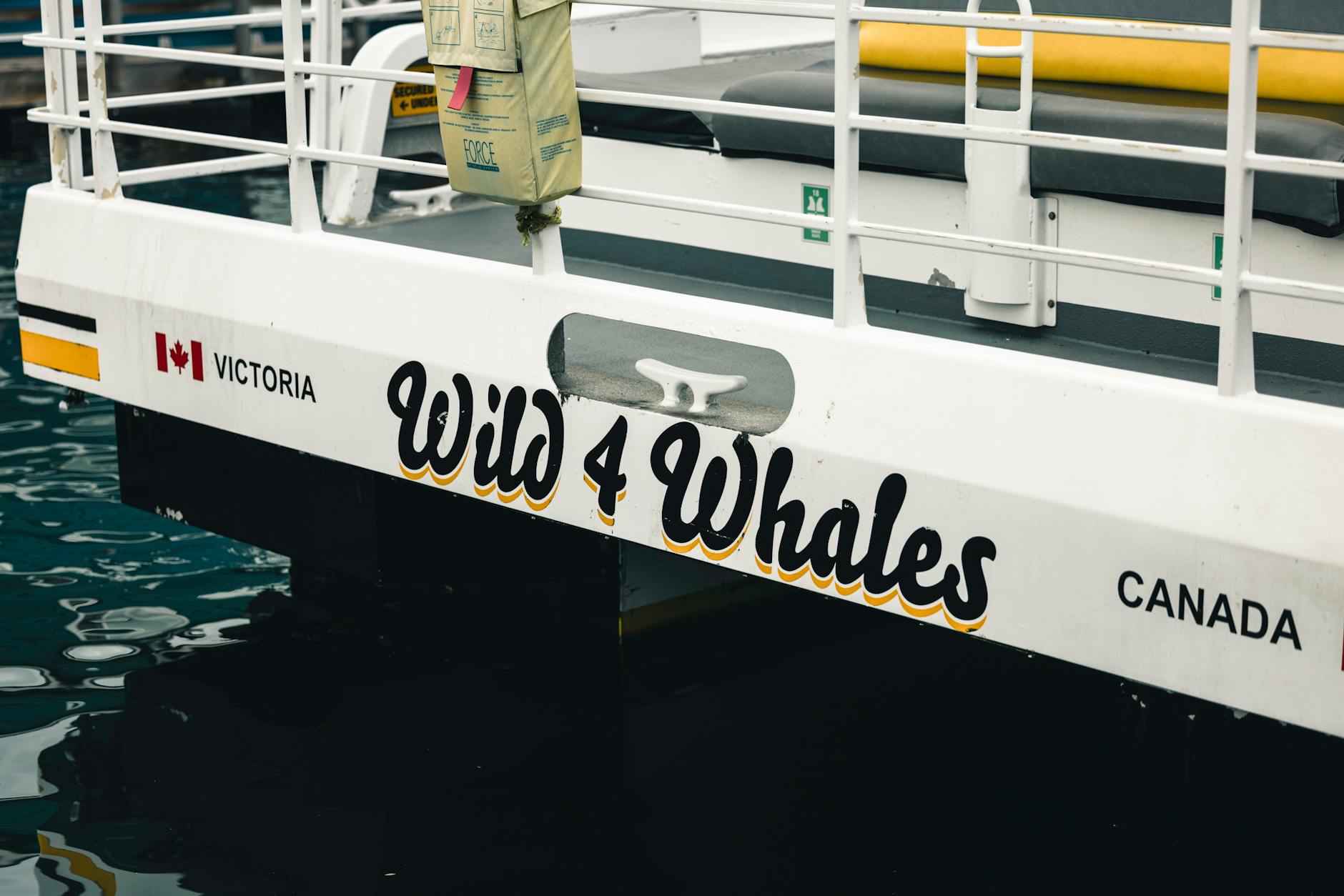 Whale watching boat in Victoria, British Columbia