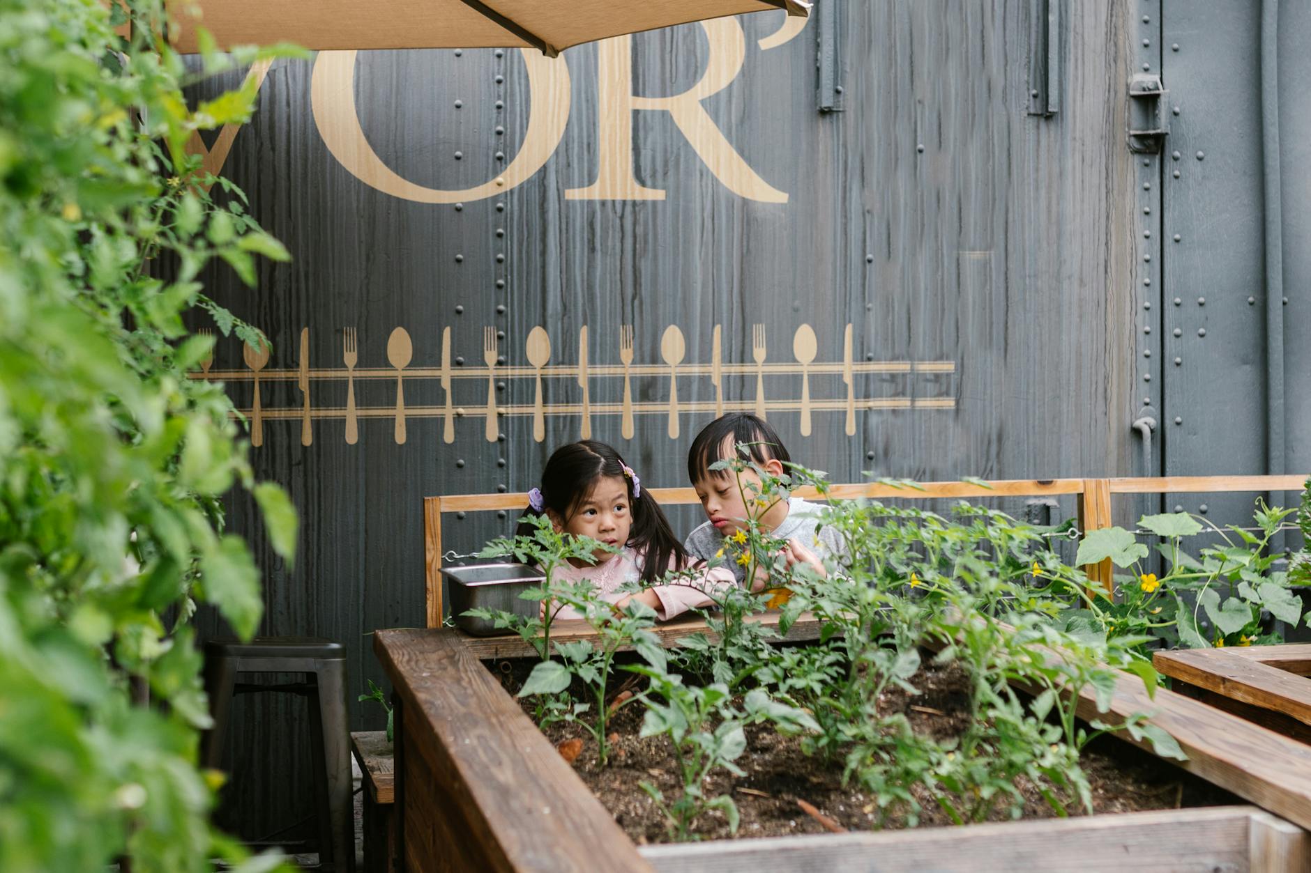 Children exploring outdoor garden boxes