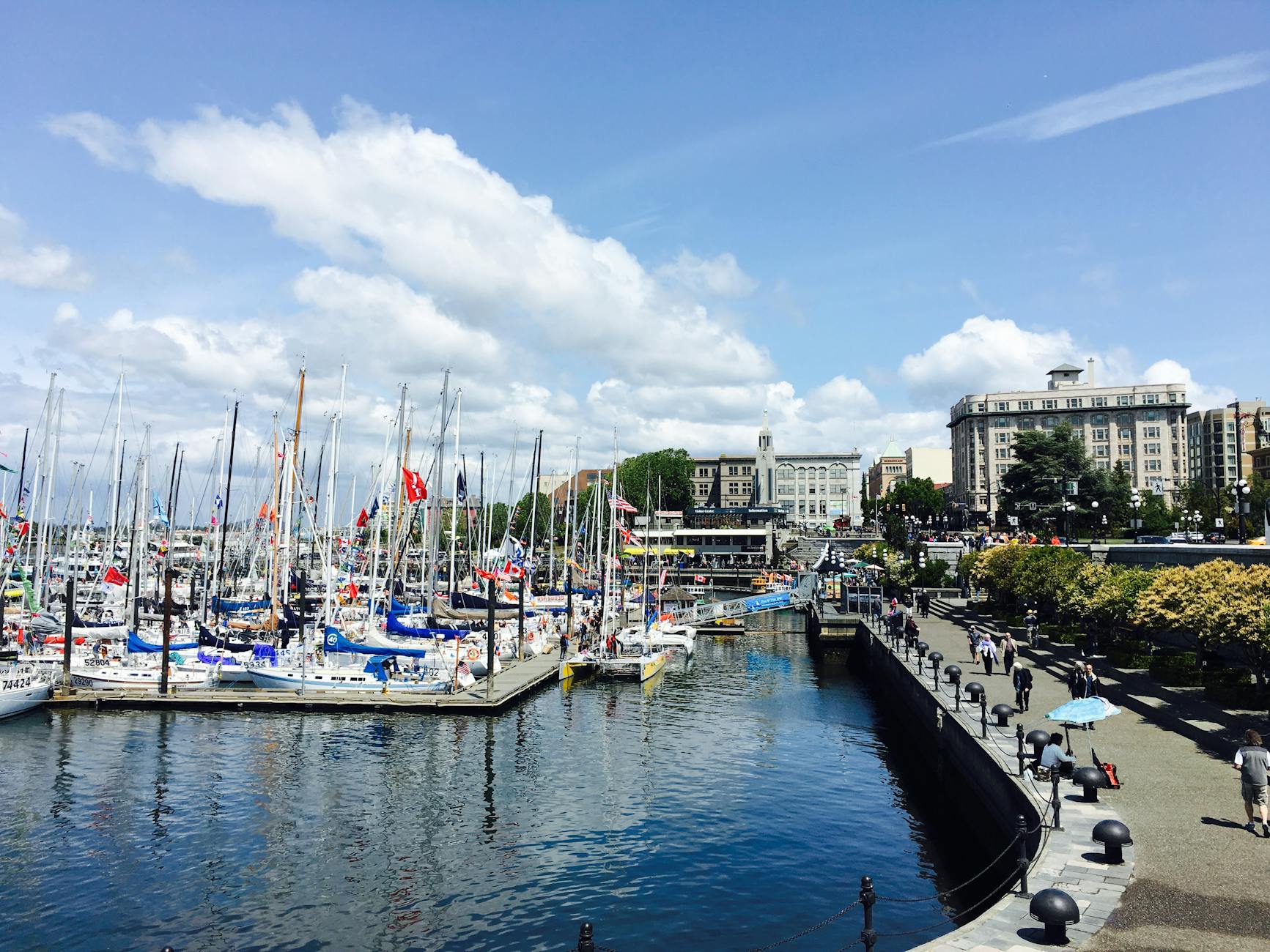 Victoria harbor with sailboats and waterfront buildings on a clear day
