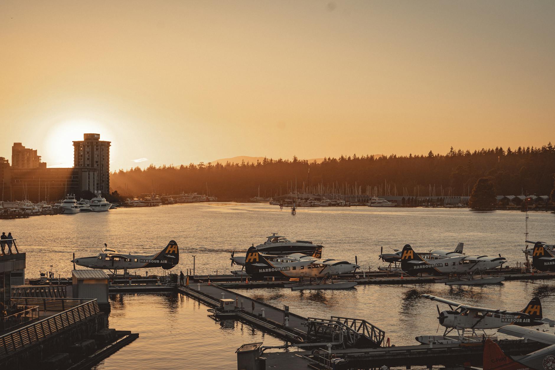 Seaplanes moored at sunset in a harbor