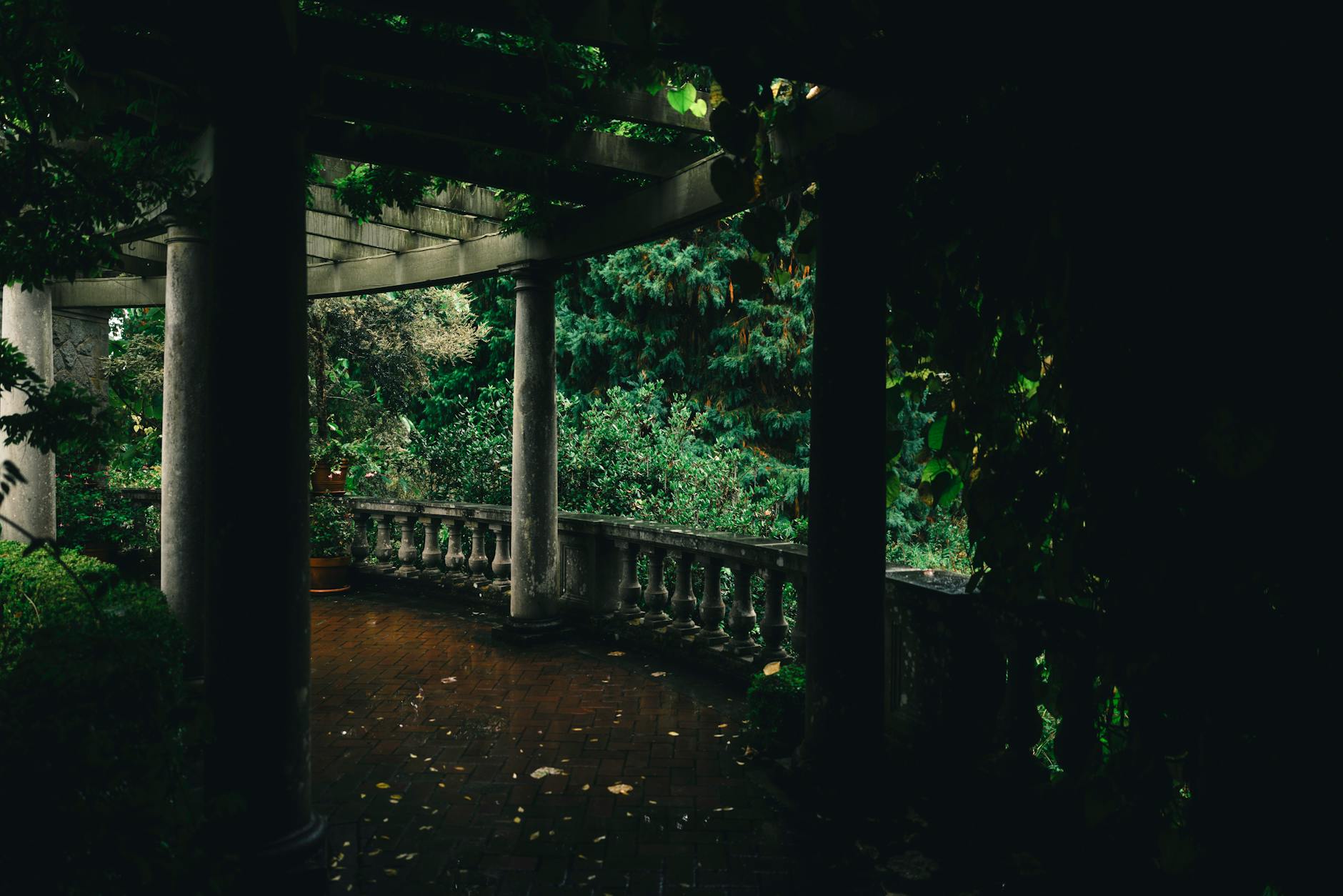 Garden pergola surrounded by greenery in Victoria