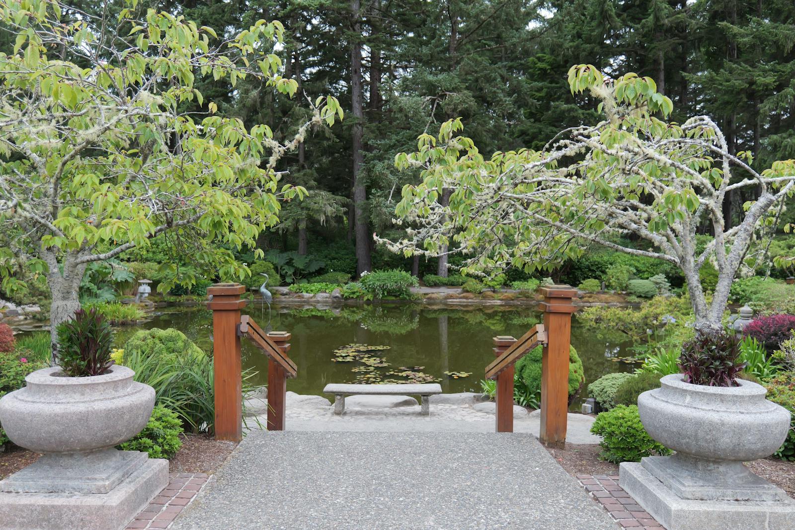 Peaceful Zen garden featuring a tranquil pond, lush greenery, and a wooden bench for relaxation.