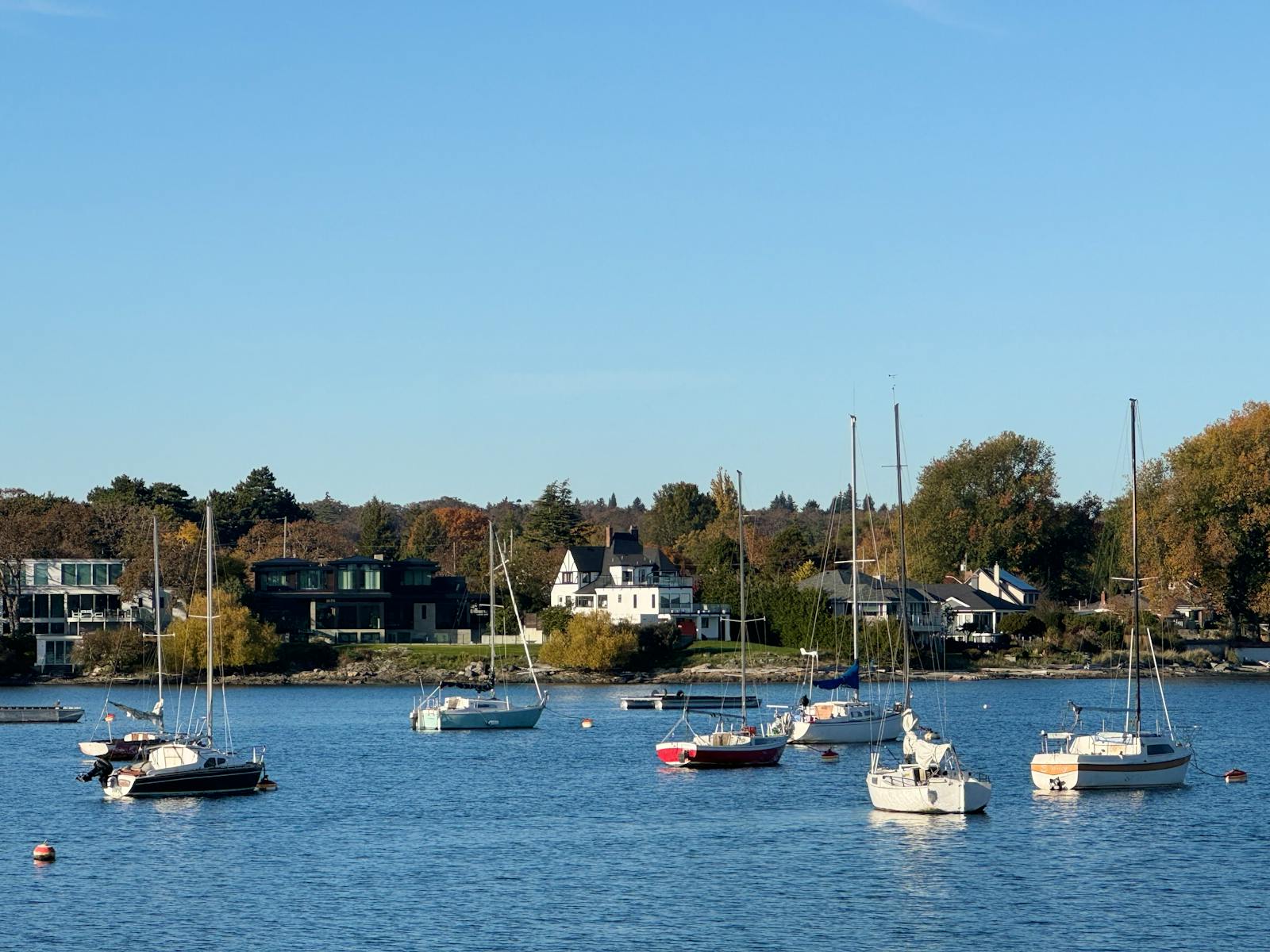 Peaceful view of sailboats on a sunny day in Oak Bay, BC, amidst waterfront houses and autumn trees.