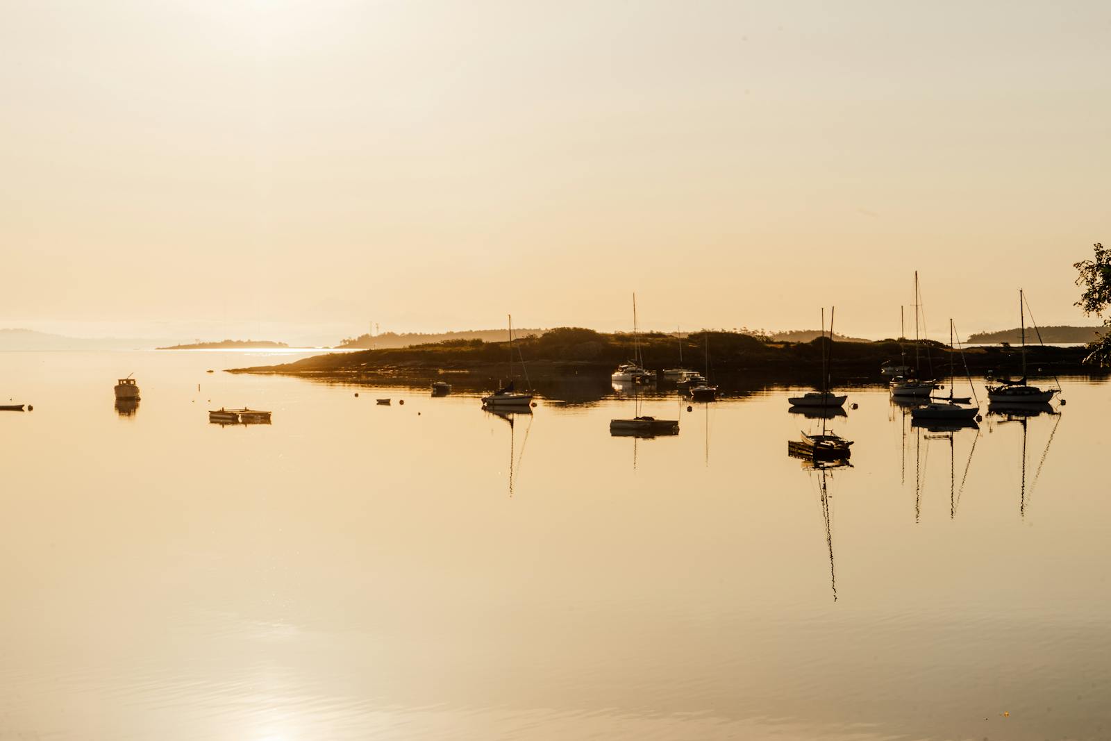 Serene sunrise over Oak Bay, British Columbia with boats reflecting on calm waters.
