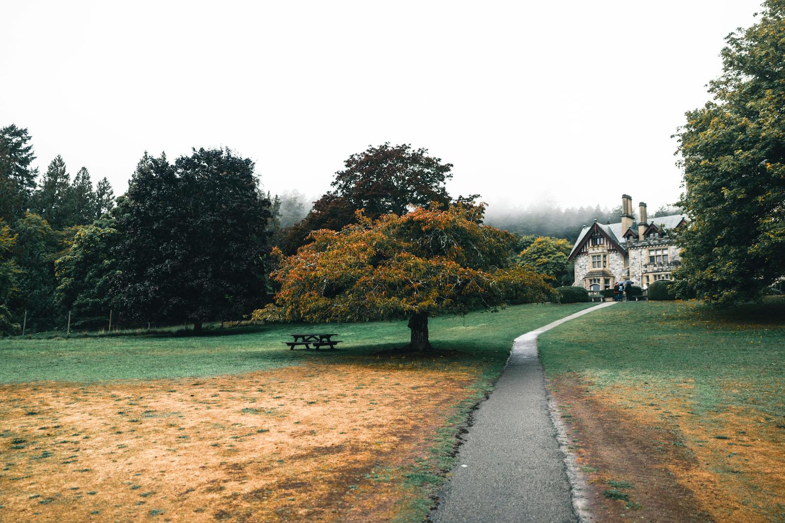 A scenic view of a Tudor-style mansion set in a misty park in Victoria, British Columbia, perfect for an adventure to explore nature's beauty.