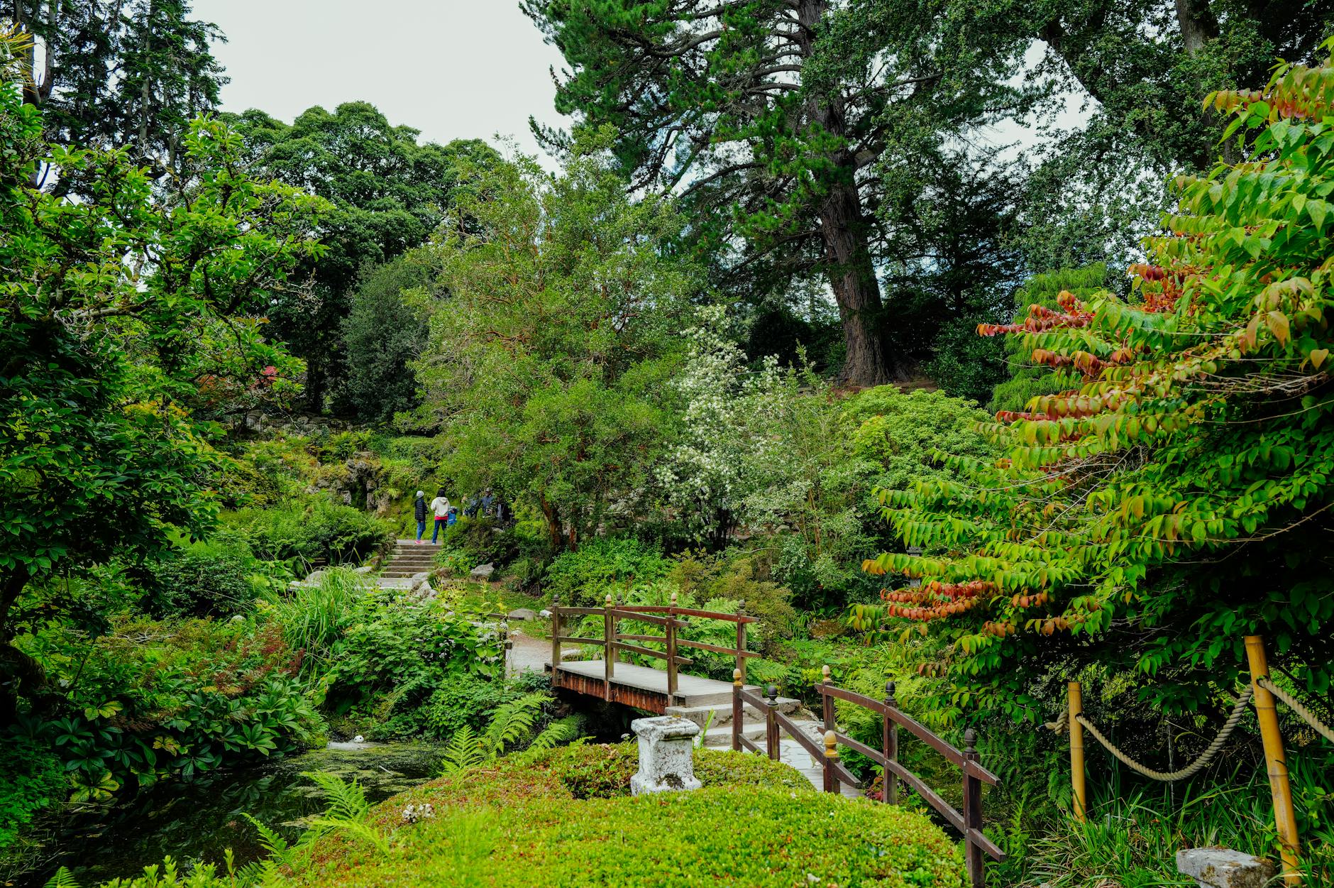 A picturesque garden featuring a tranquil pathway surrounded by lush greenery and vibrant foliage.