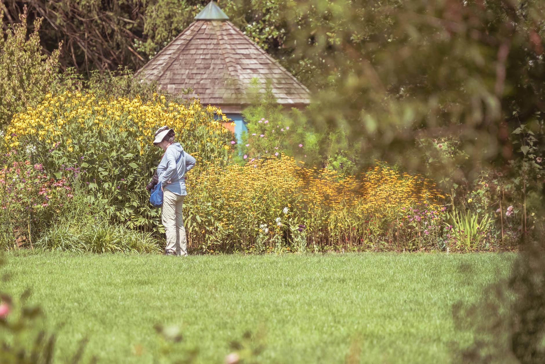 Woman photographing flowers in a lush garden