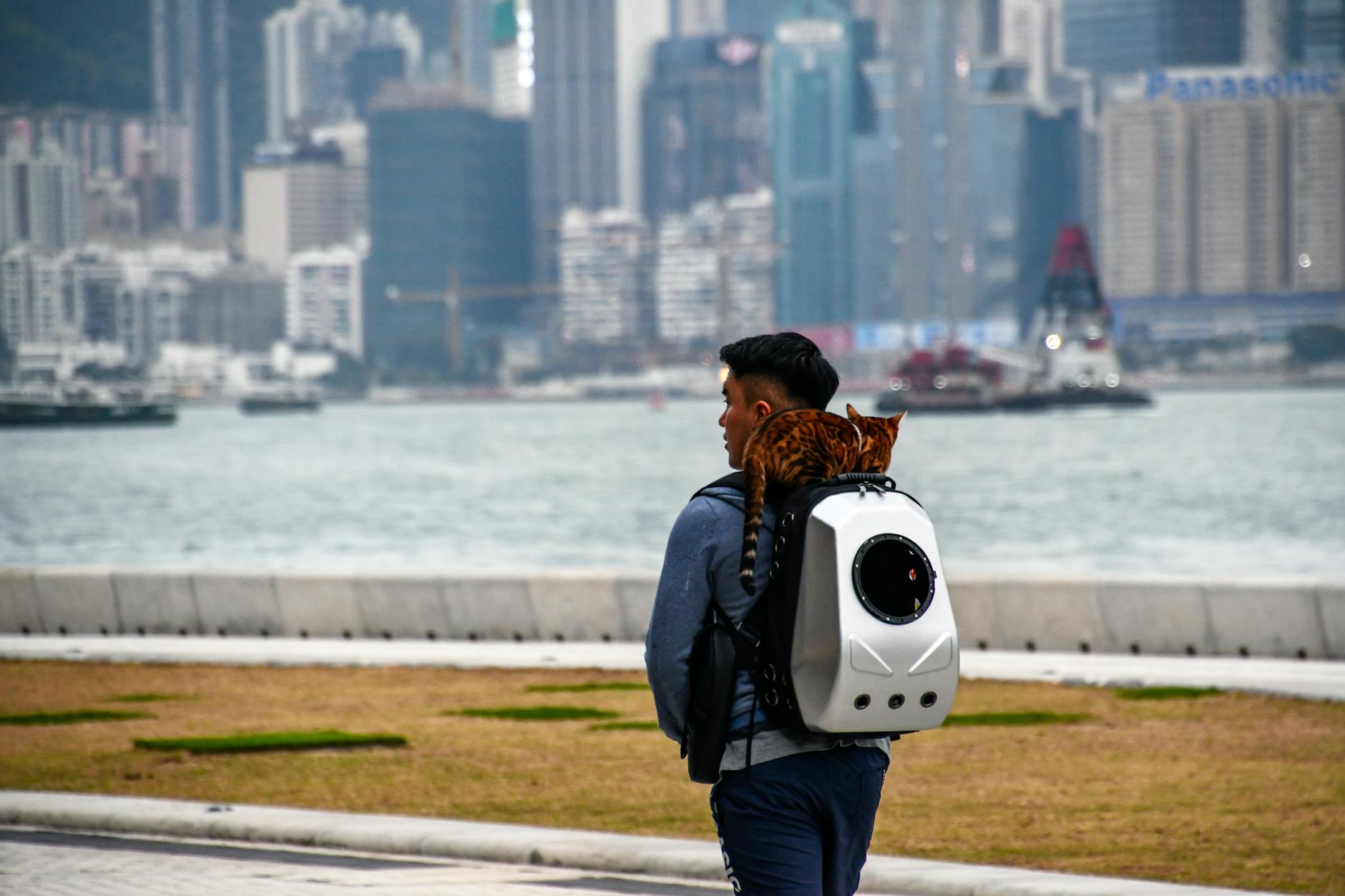 Hong Kong city hills and outdoor launch-point planning context.