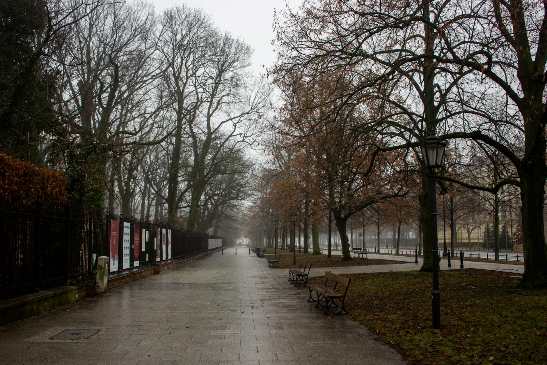 Warsaw park setting for budget walking and rest planning.