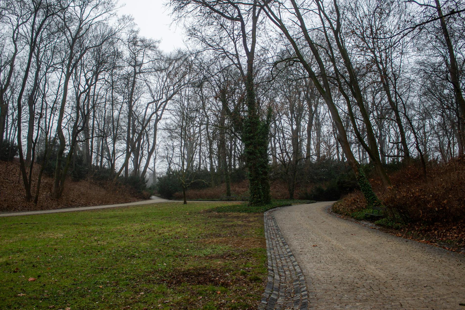 Warsaw park route for medical-constraint pacing and rest planning.