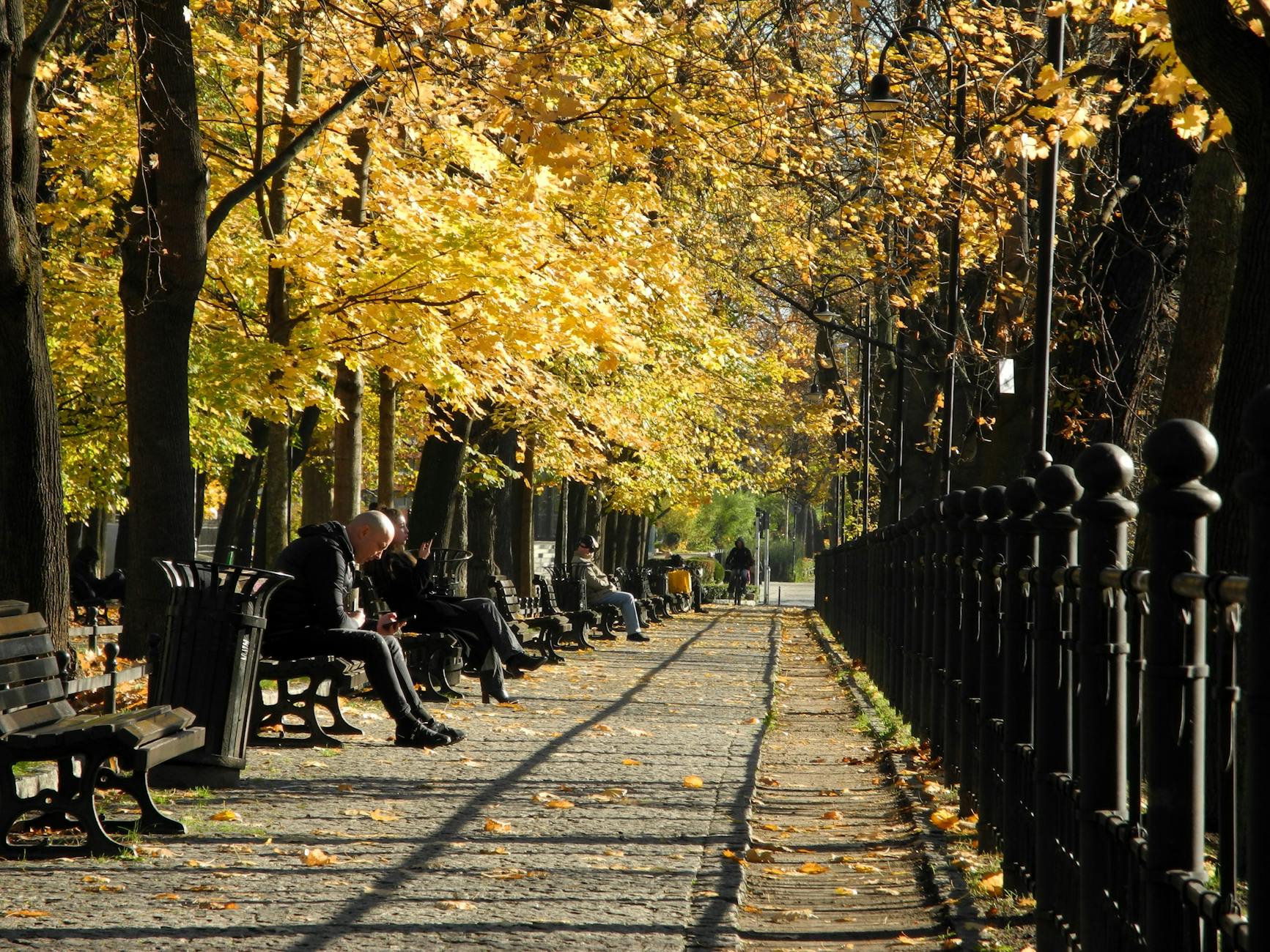 Warsaw park path for mobility-limited pacing and route planning.