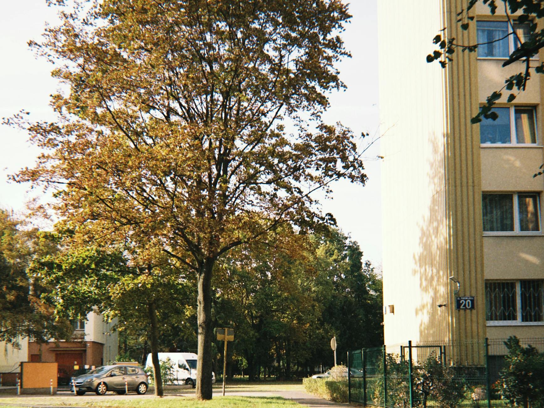 Warsaw neighborhood street for NGO work-site planning.