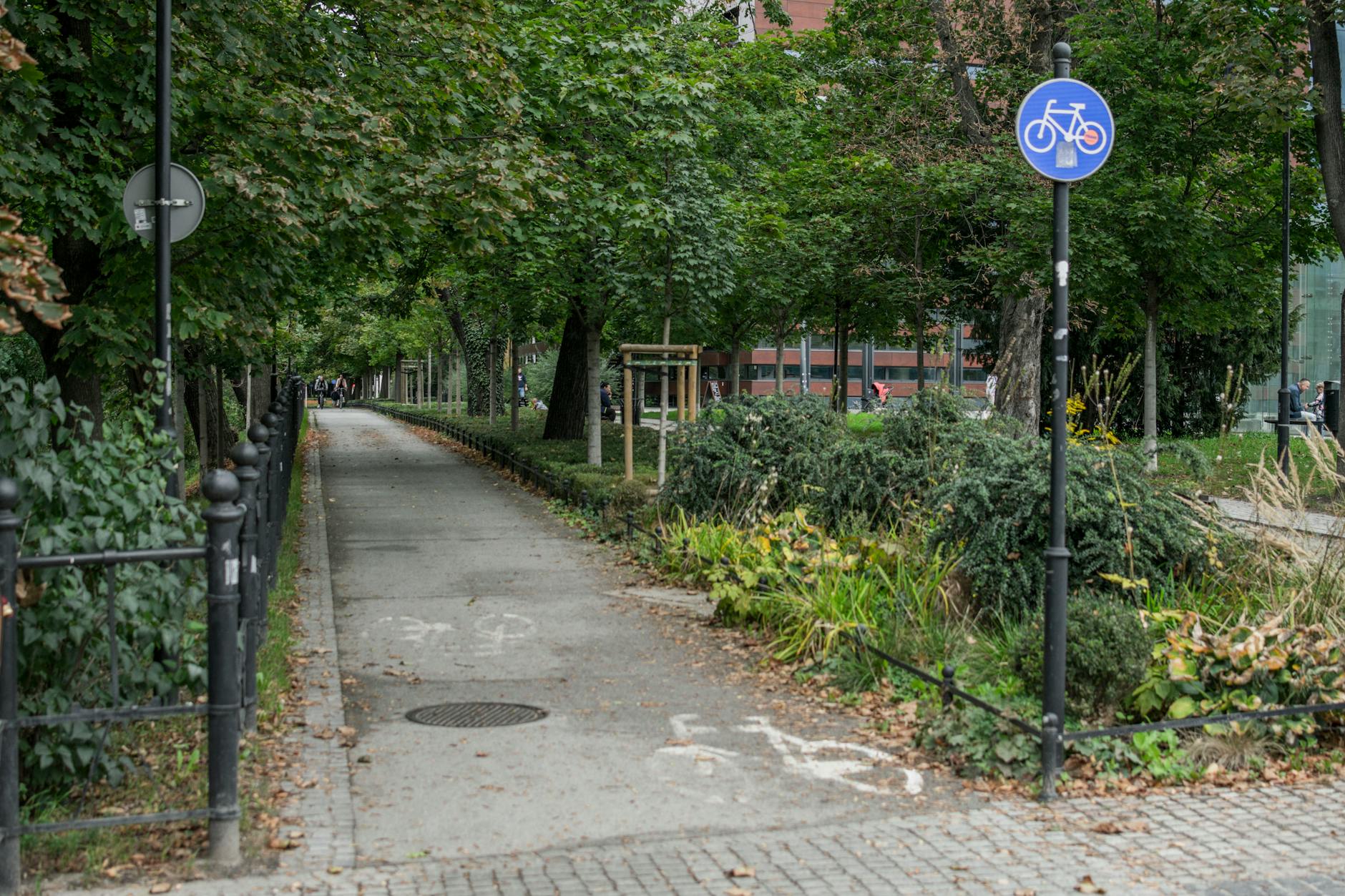 Wroclaw old-town walking area for mobility-aware route planning.