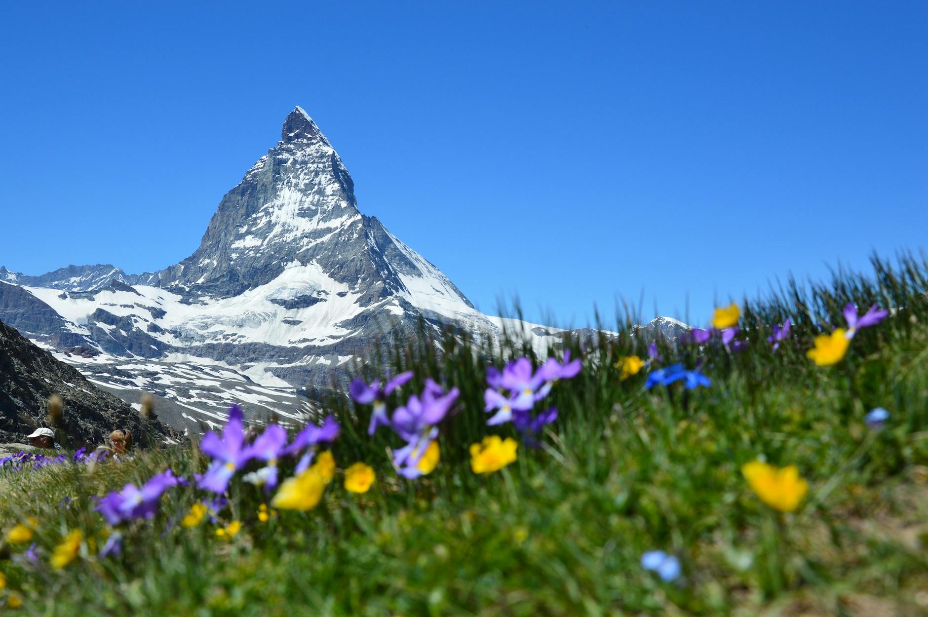 Matterhorn summit view for Zermatt sales hospitality planning.
