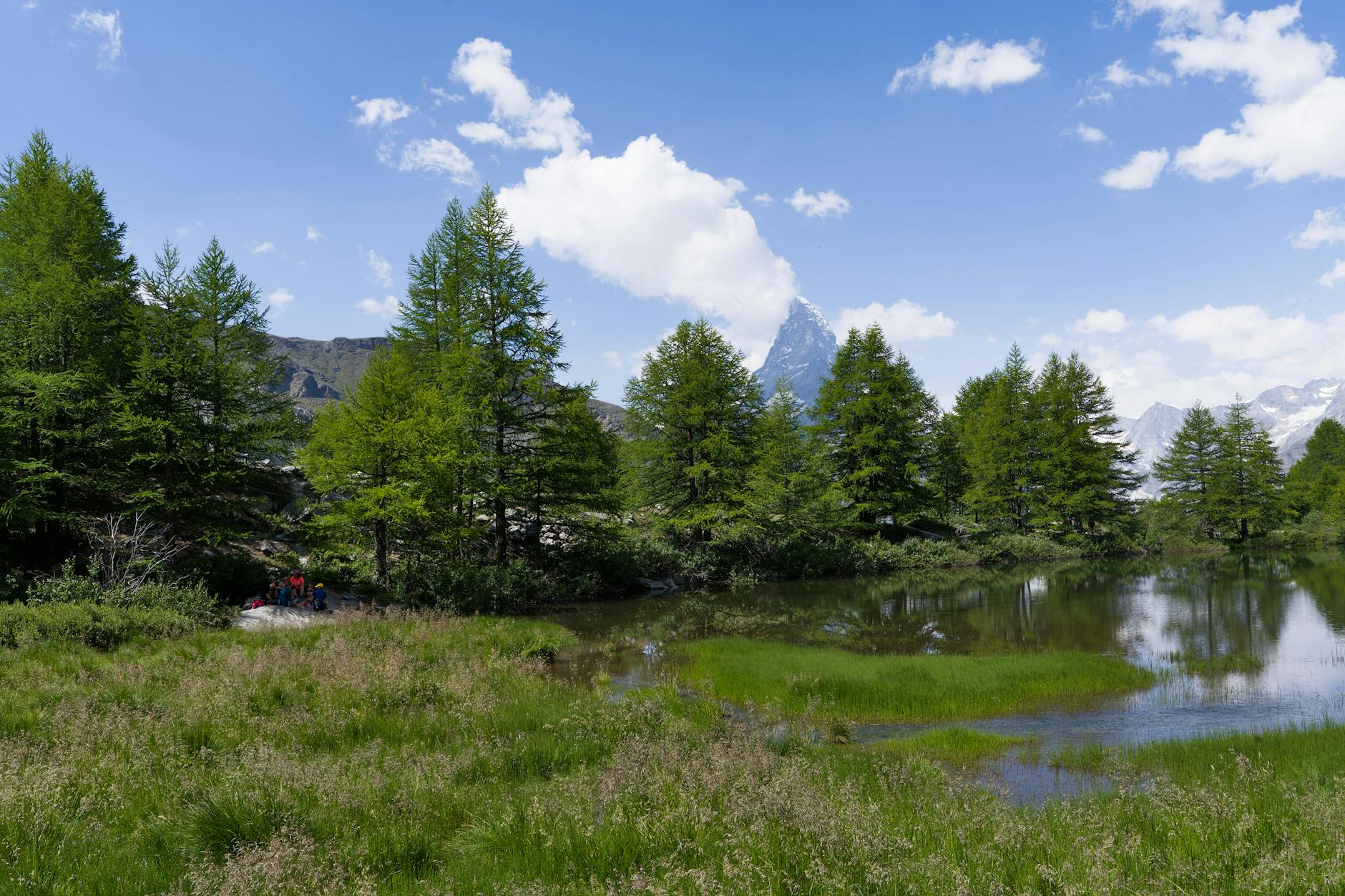 Alpine lake and trees near Zermatt for mountain activity planning.