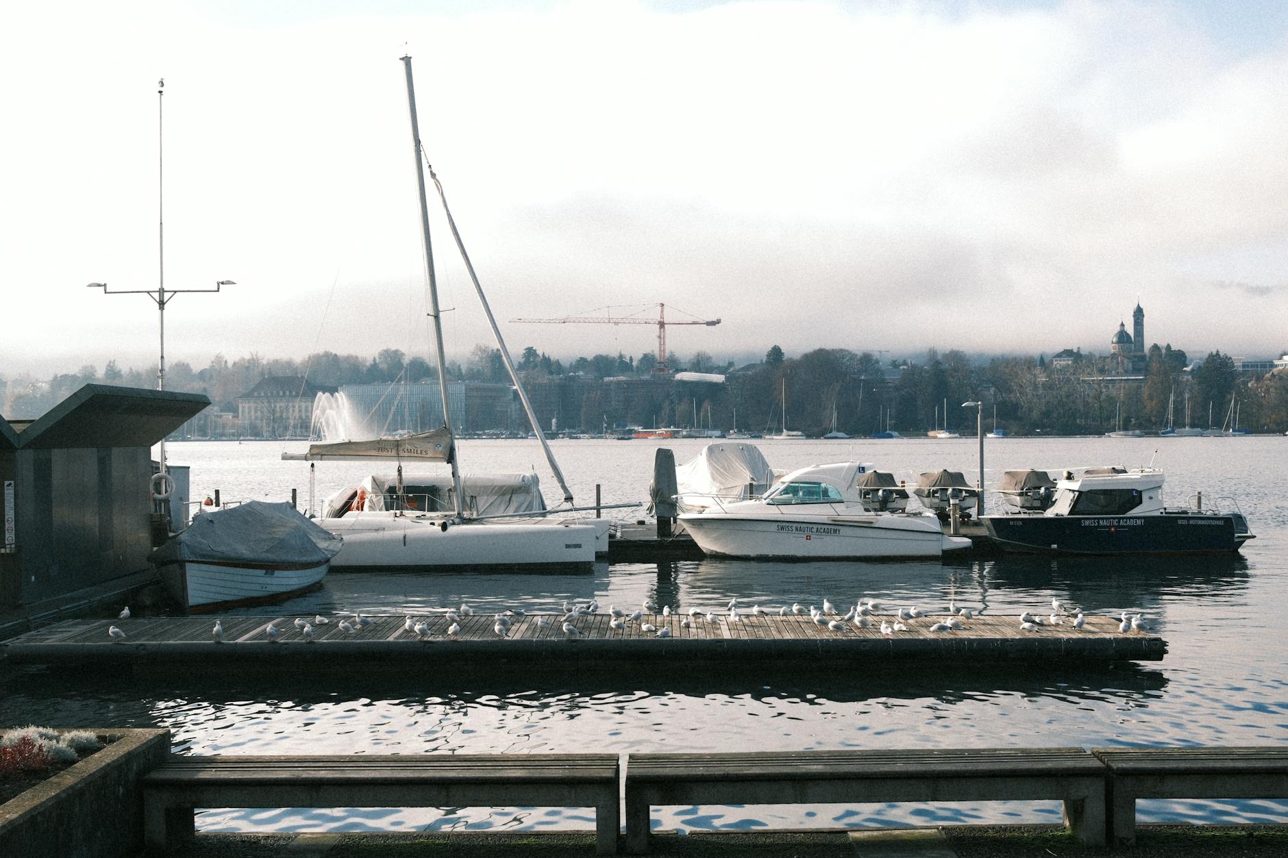 Swiss marina and boats context for creator movement and transit footage planning.