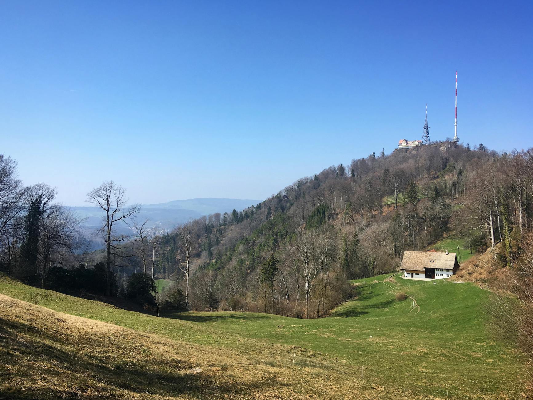 Uetliberg hillside context for a Zurich tourist scenic add-on.