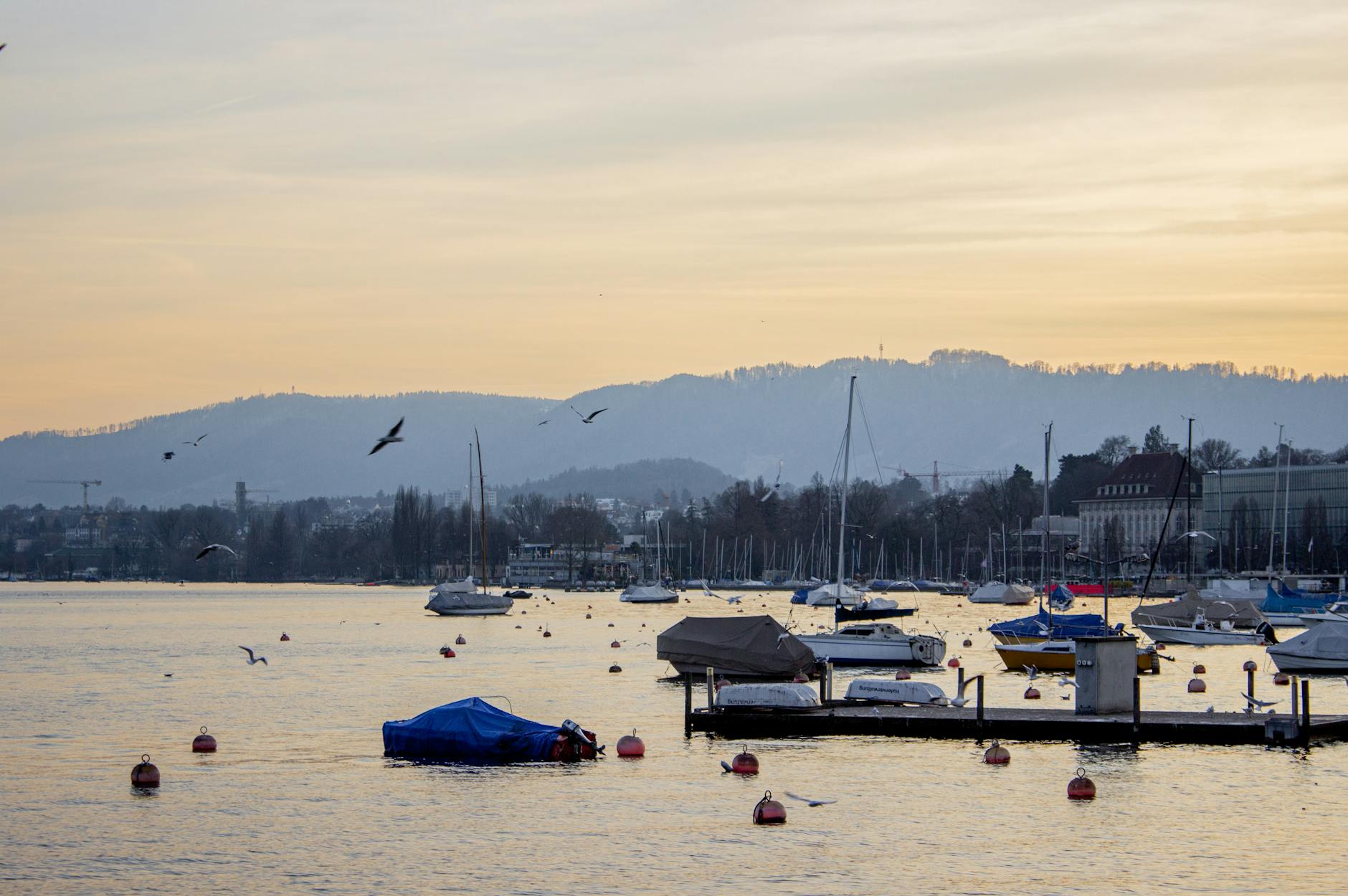 Lake Zurich evening context for rest and medication timing.