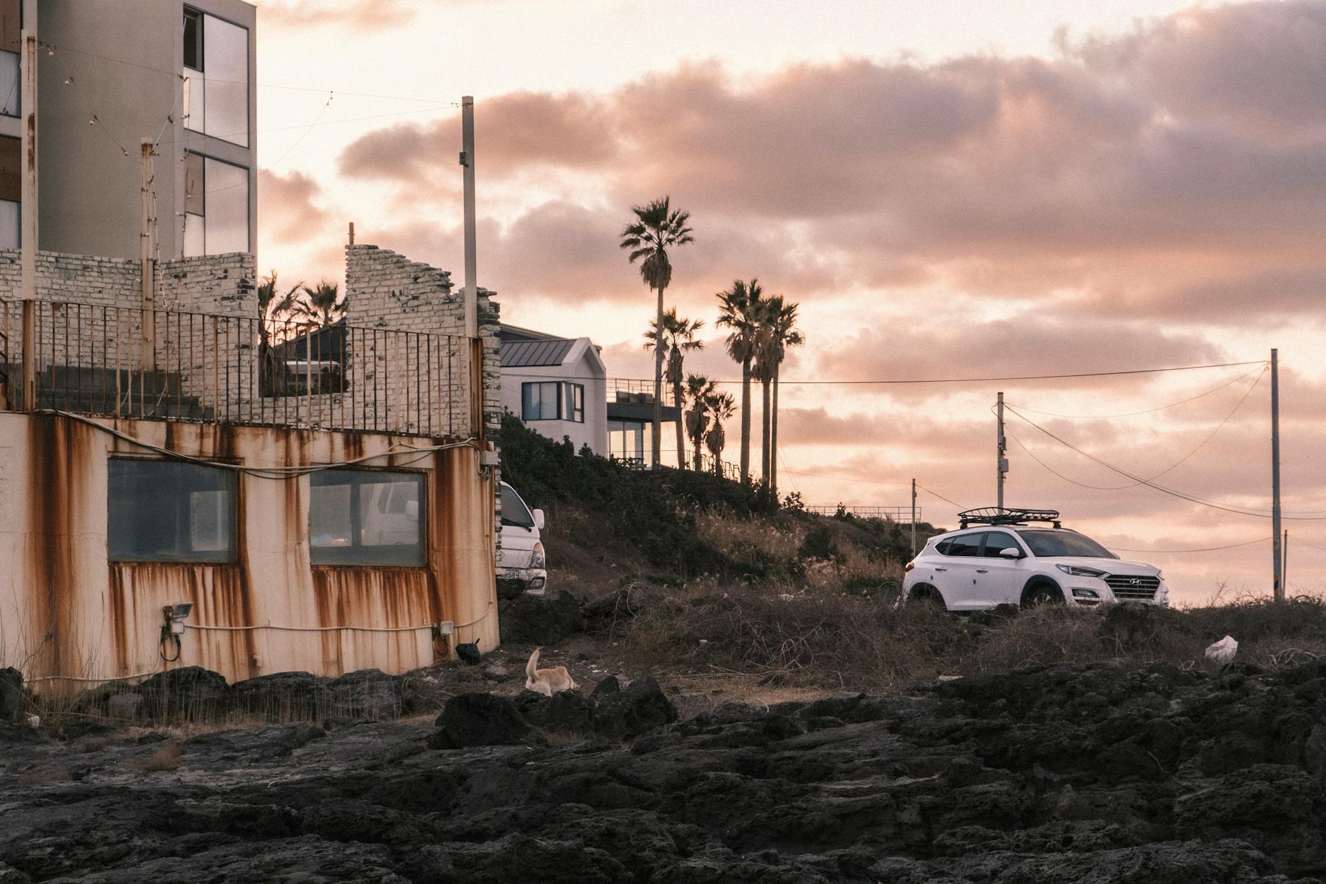 Coastal road scene on Jeju Island.