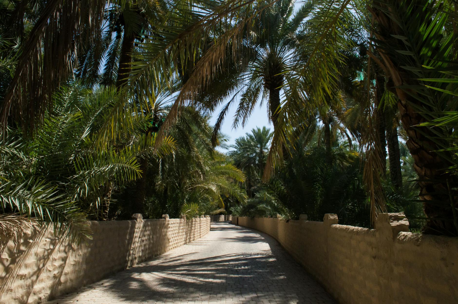 Al Ain travel image