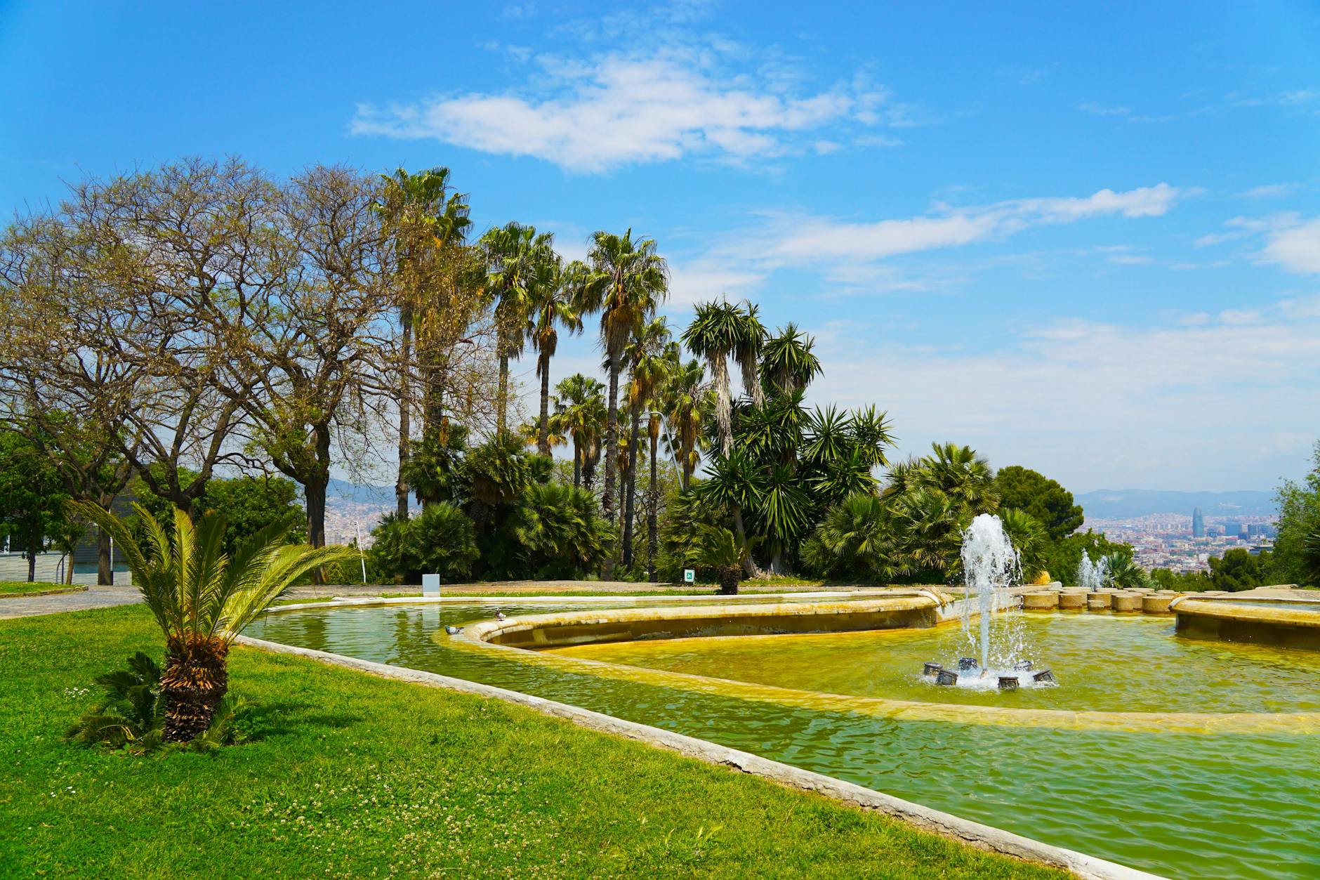 Barcelona travel image