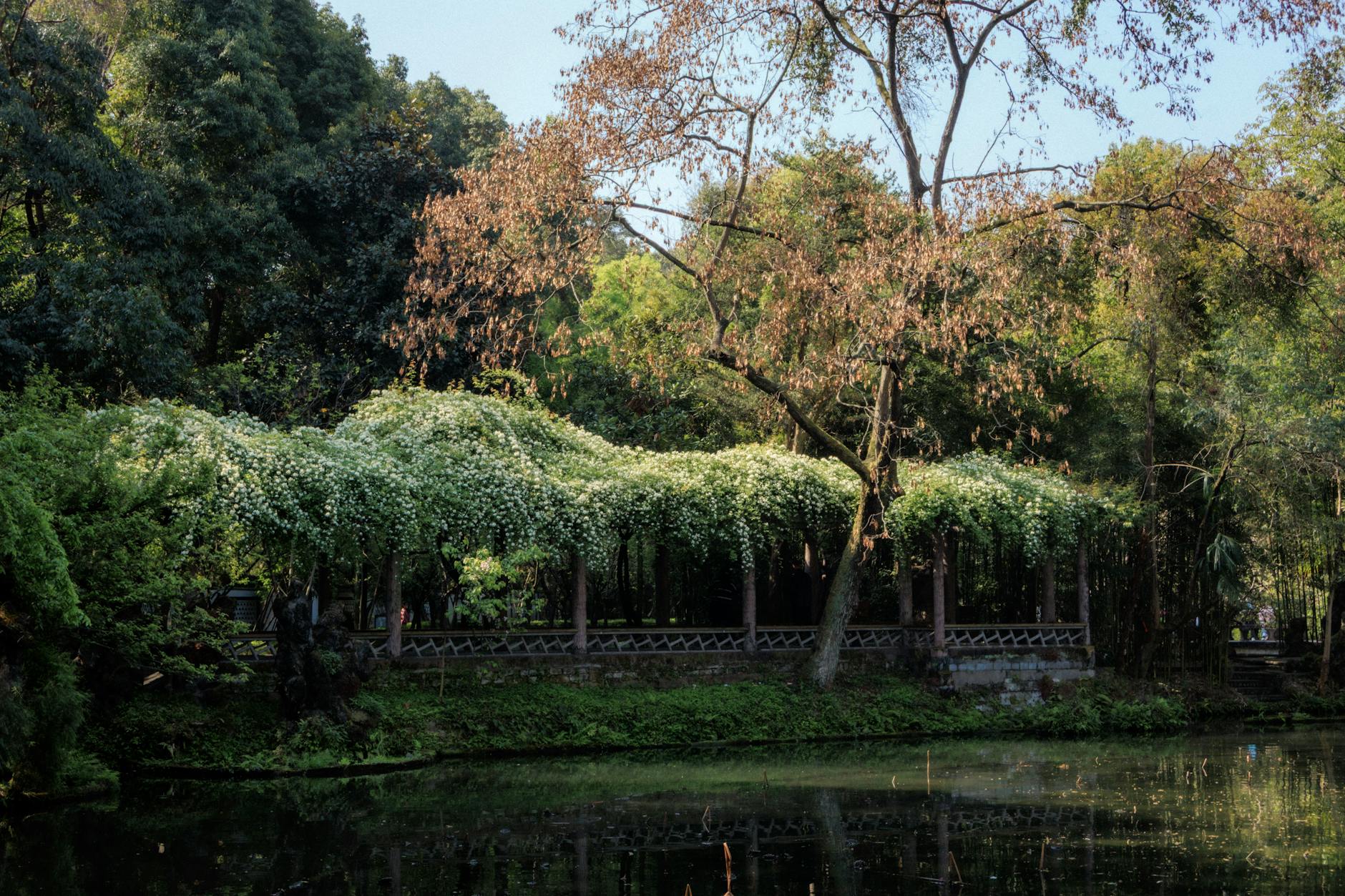 Chengdu travel image