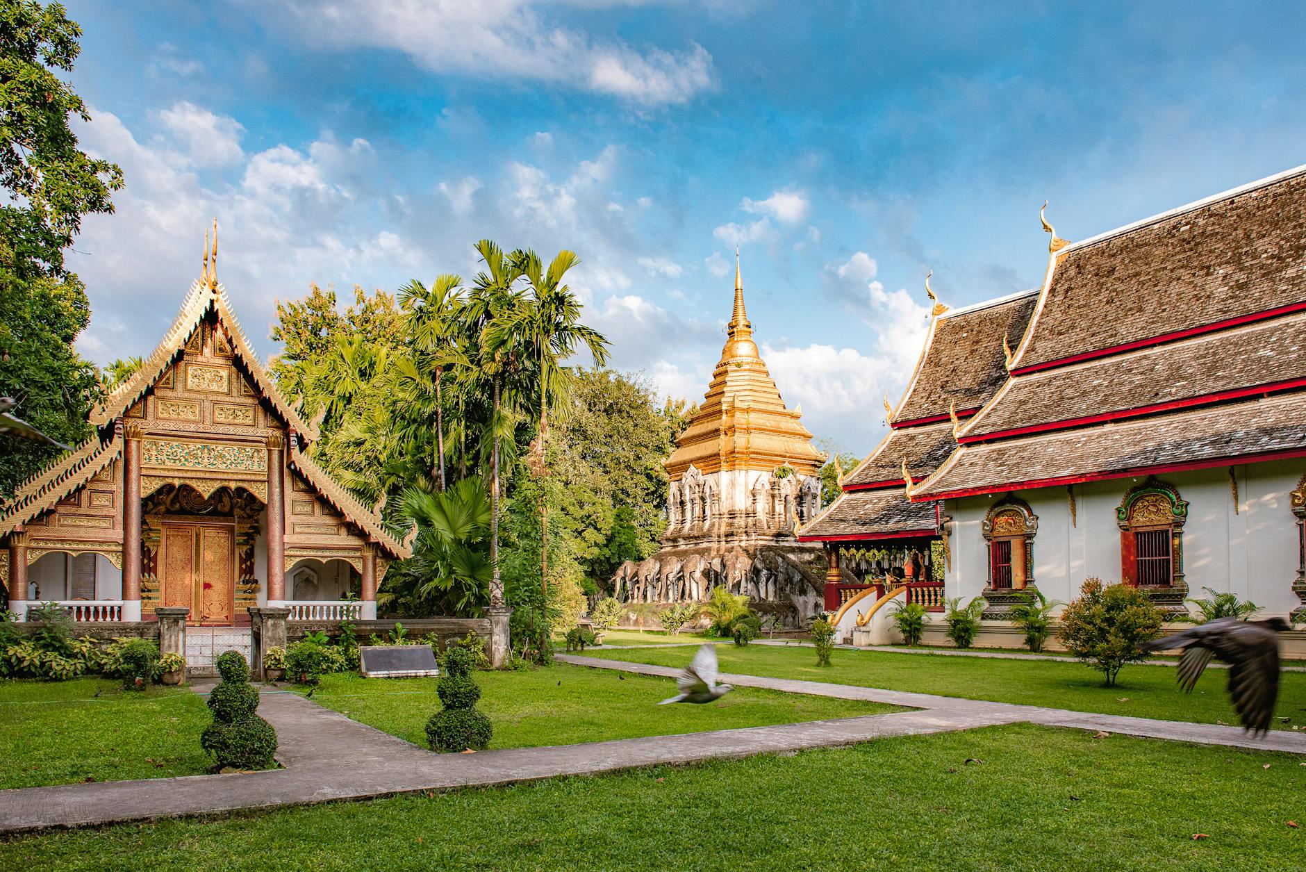 Chiang Mai Travel Guide