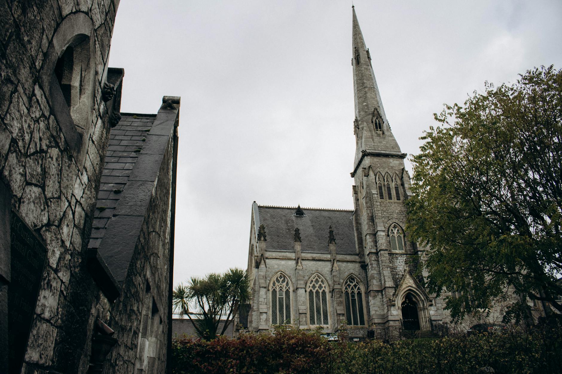 Cork travel image