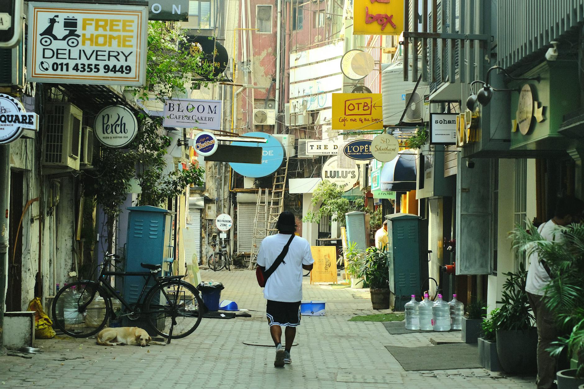 Delhi travel image