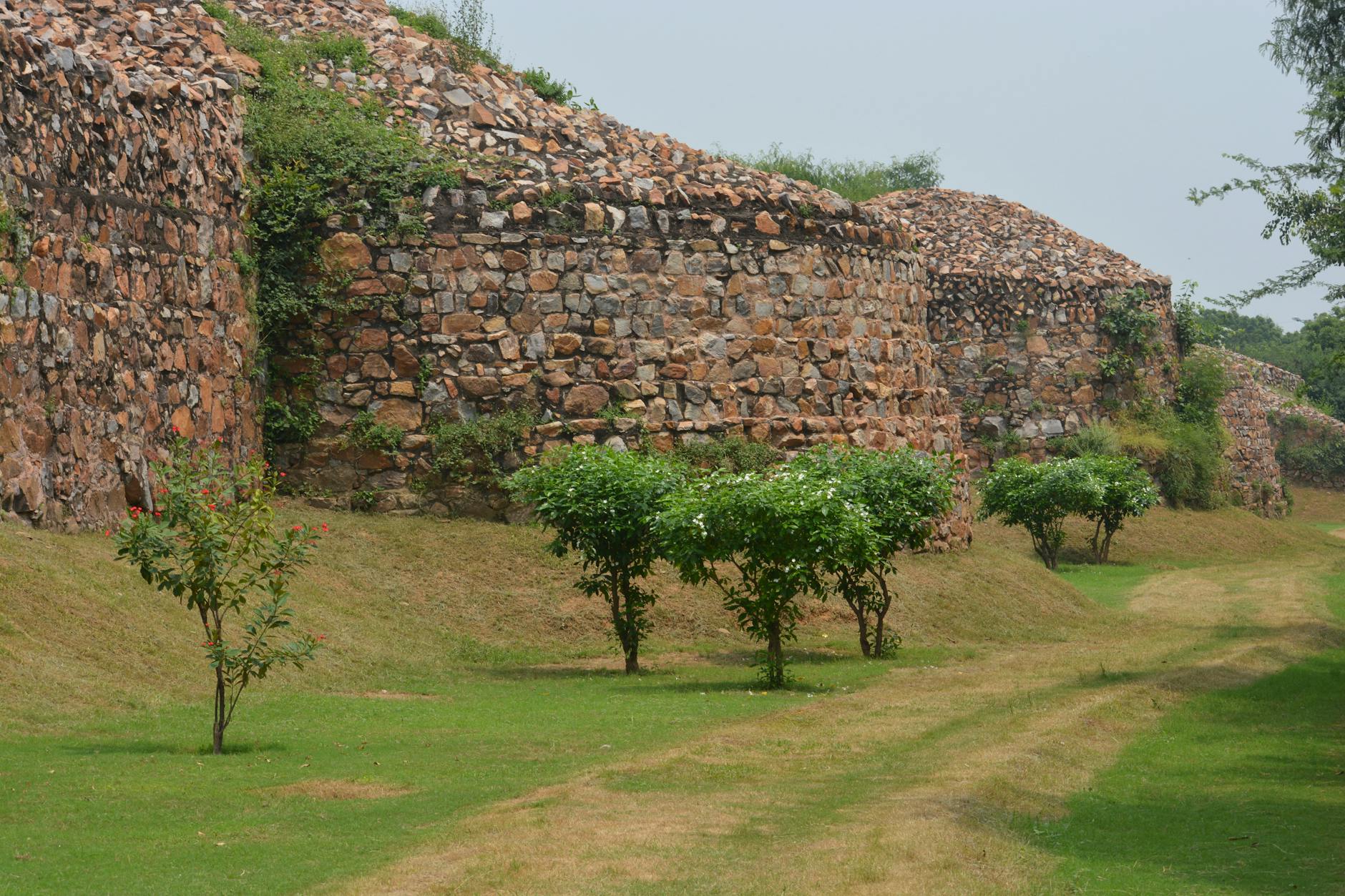 Delhi travel image