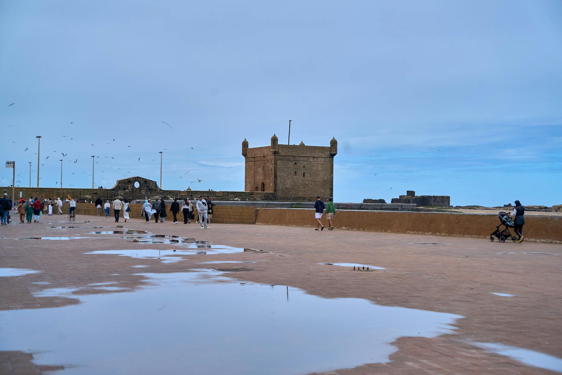 Essaouira travel image