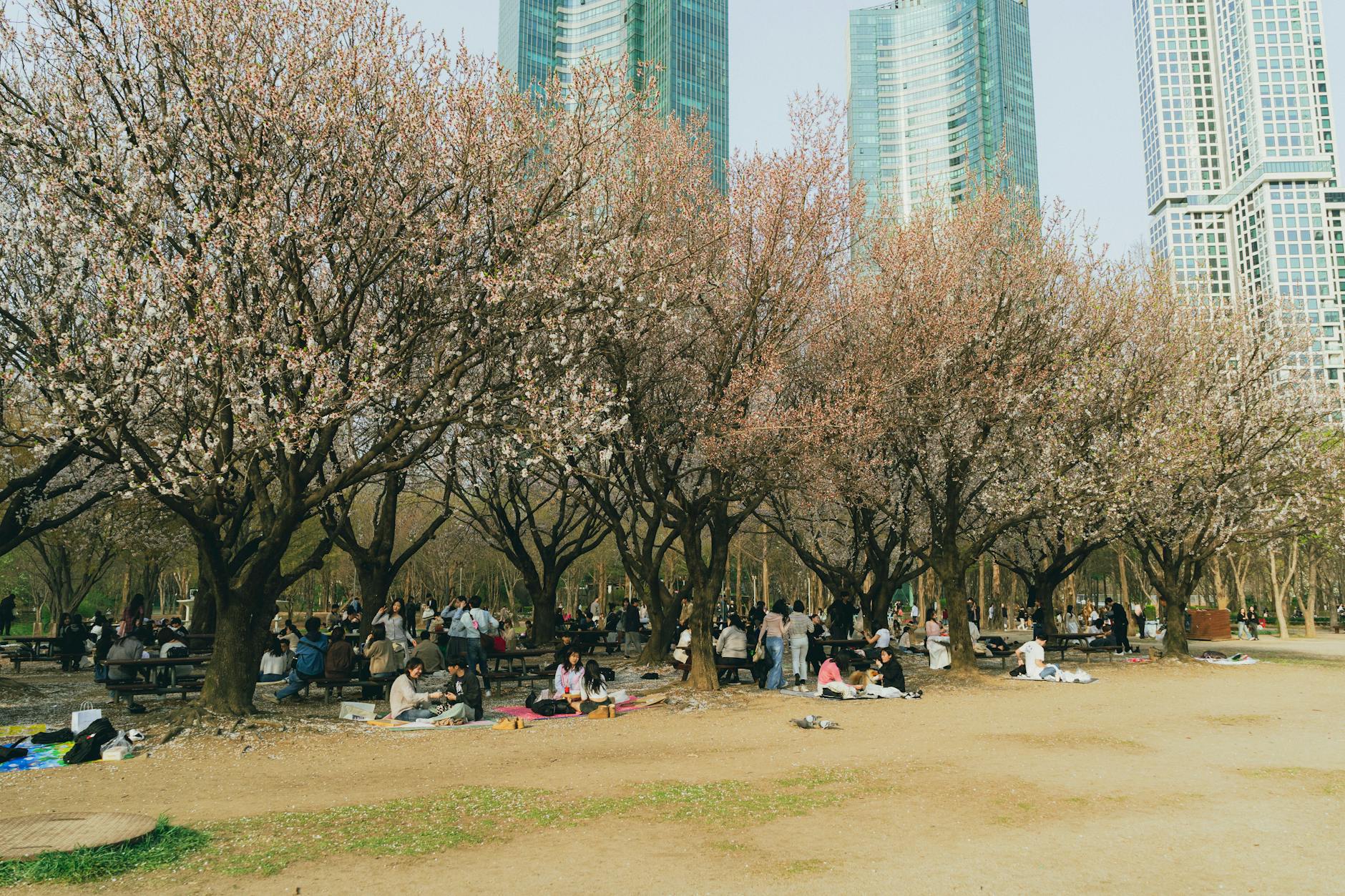 Incheon travel image