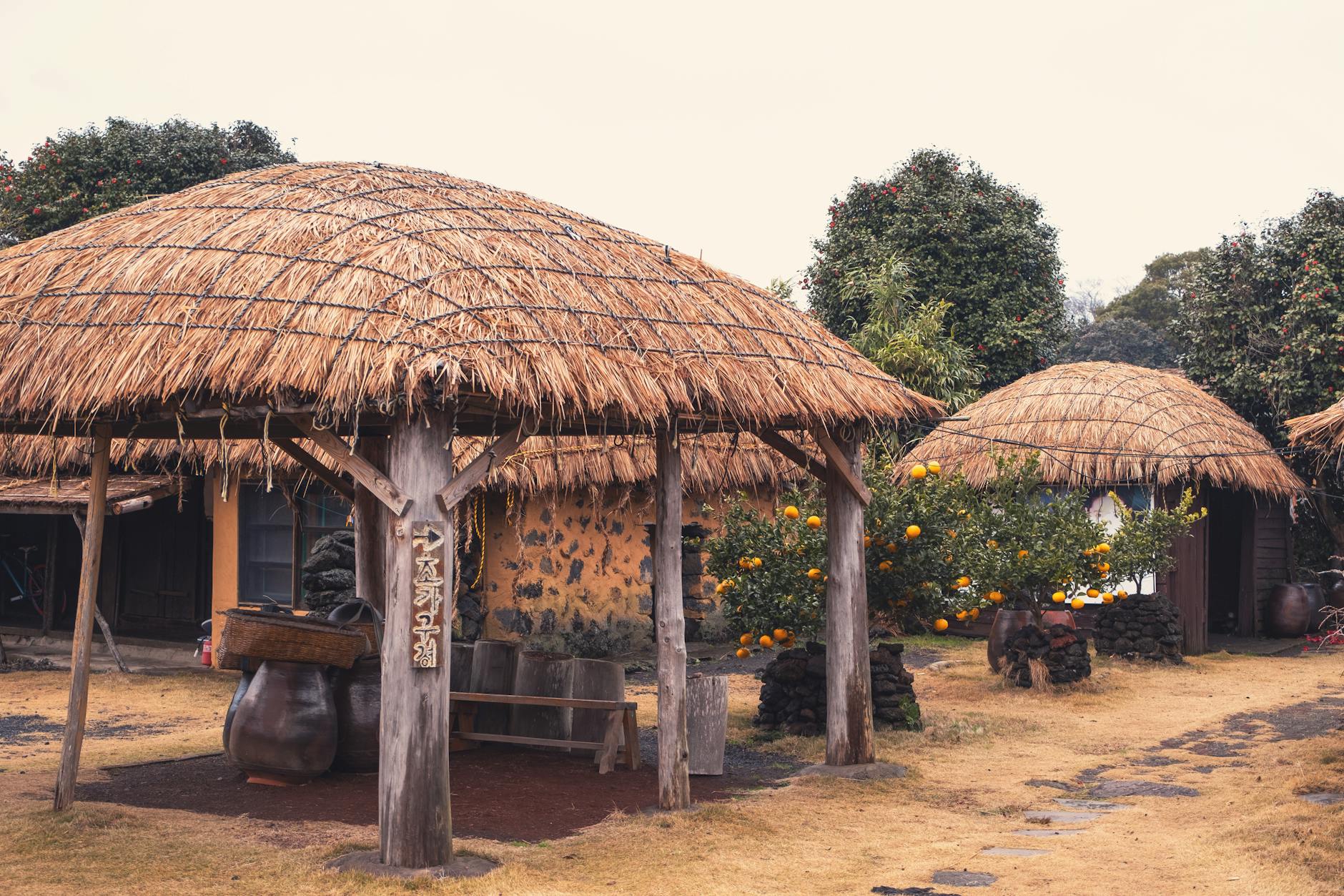 Jeju Island travel image