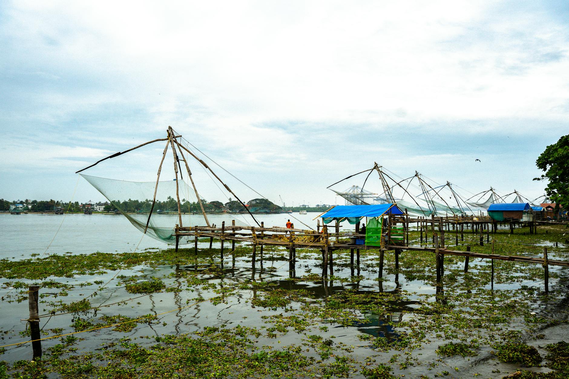 Kochi Travel Guide