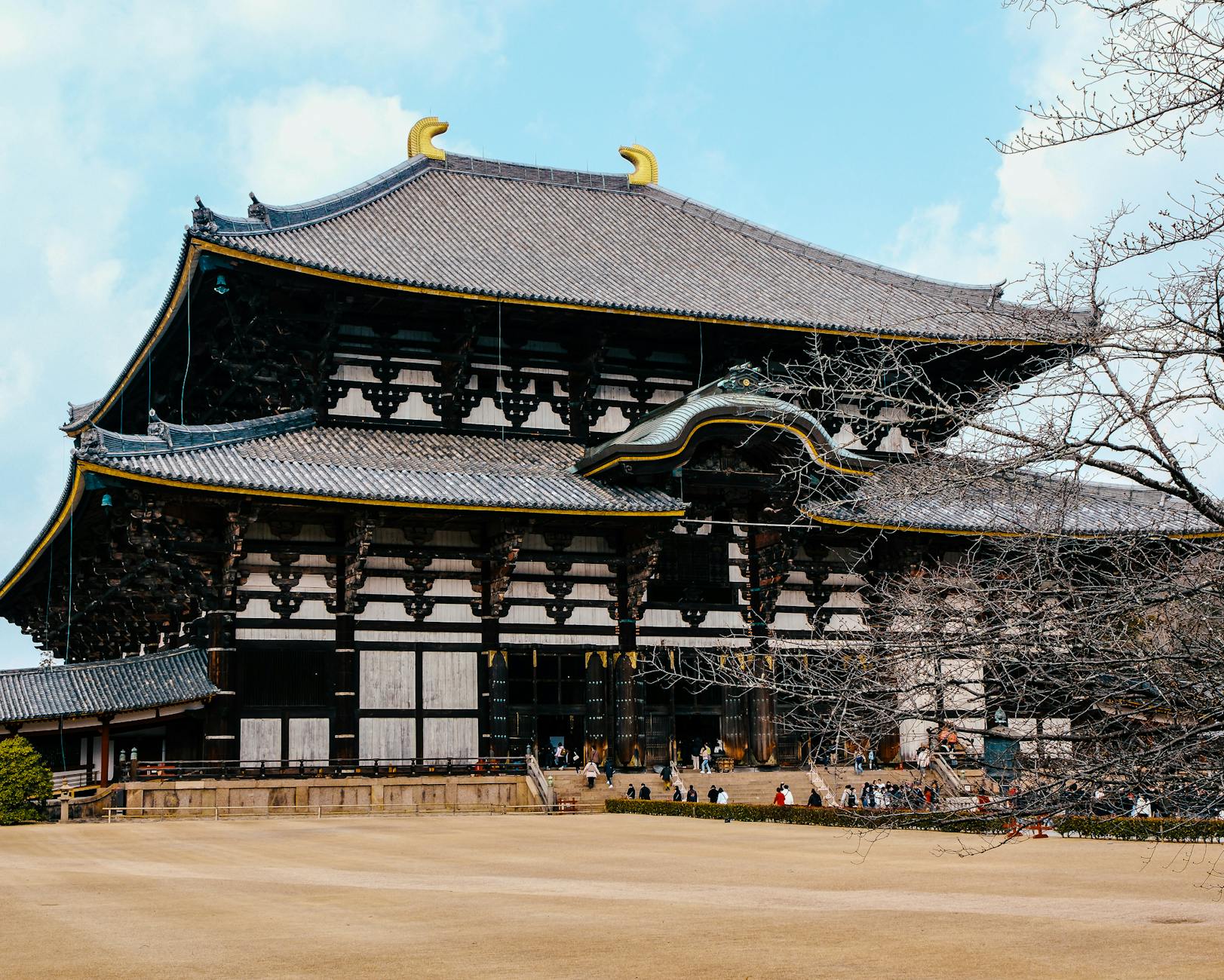 Nara Travel Guide