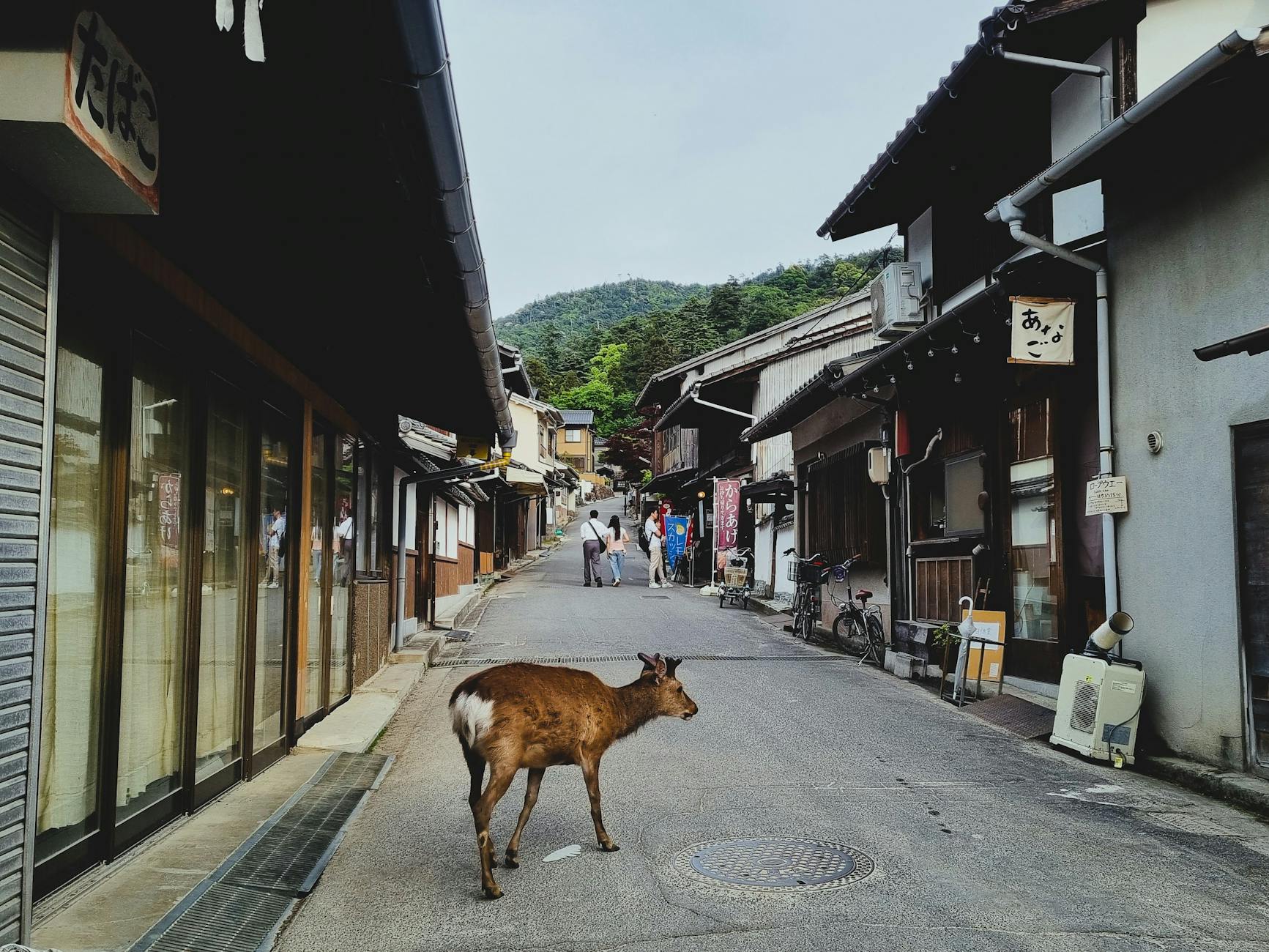 Nara travel image
