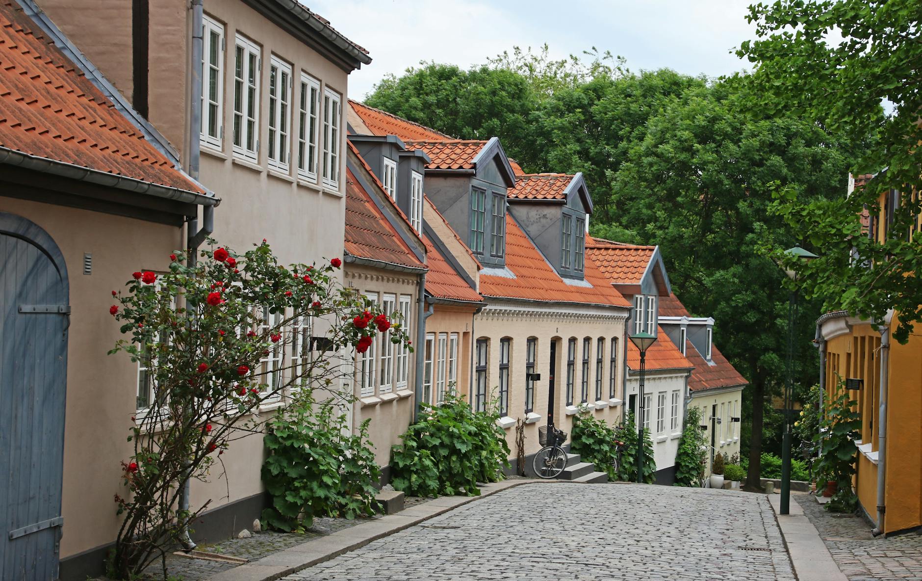Odense travel image