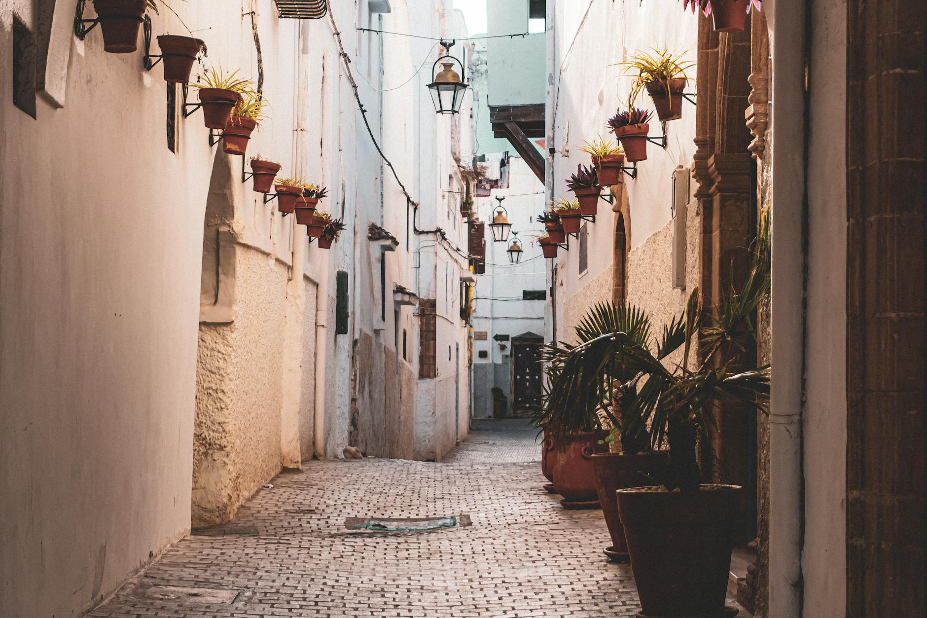 Rabat travel image