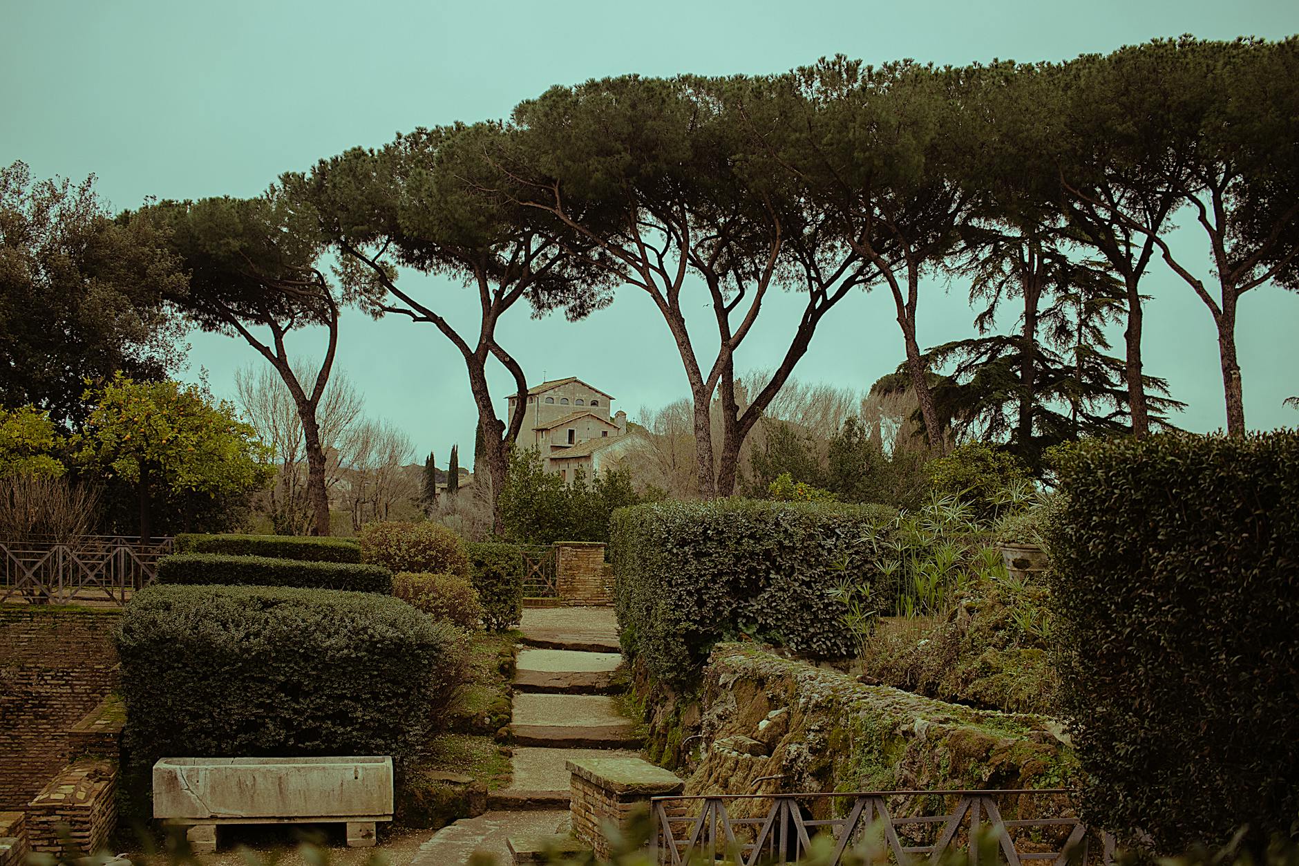Rome travel image