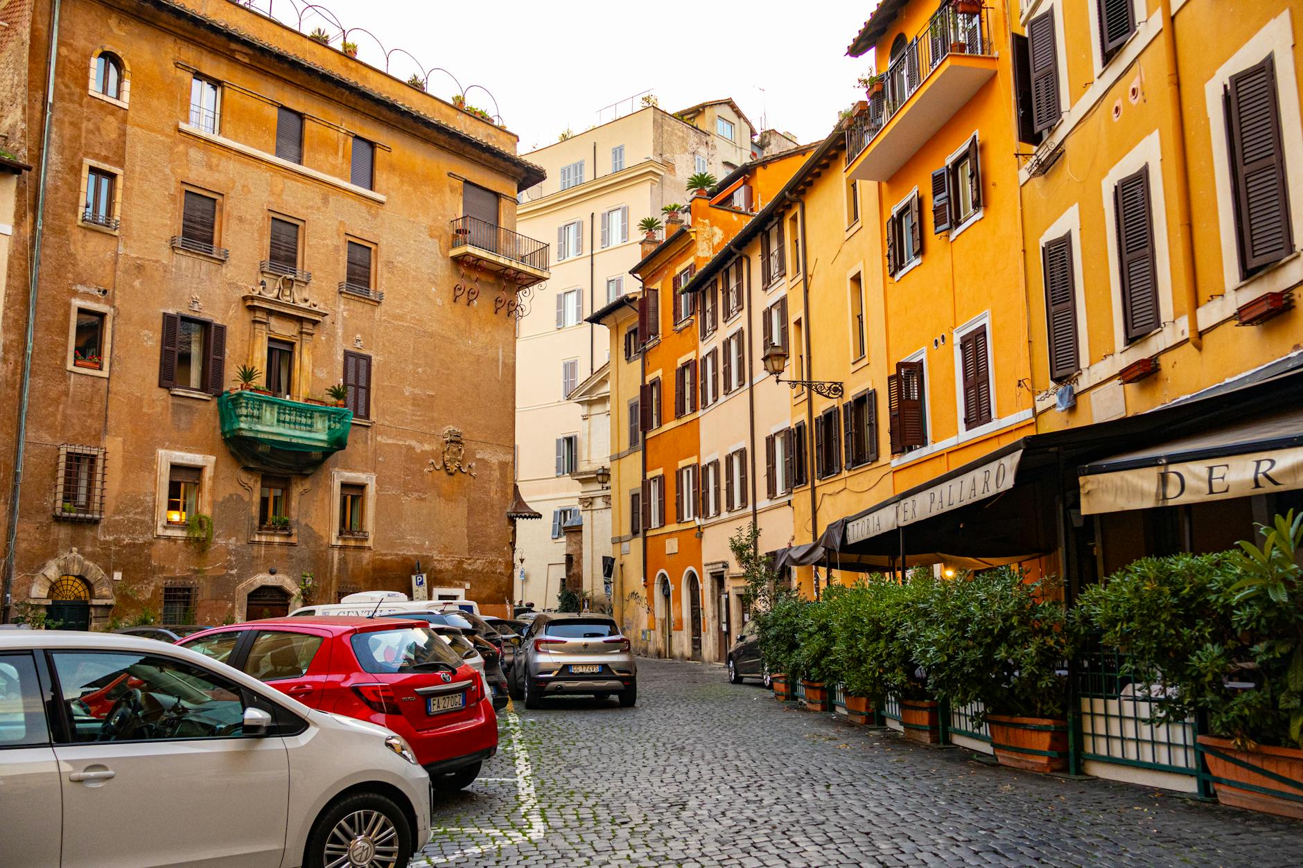 Rome travel image