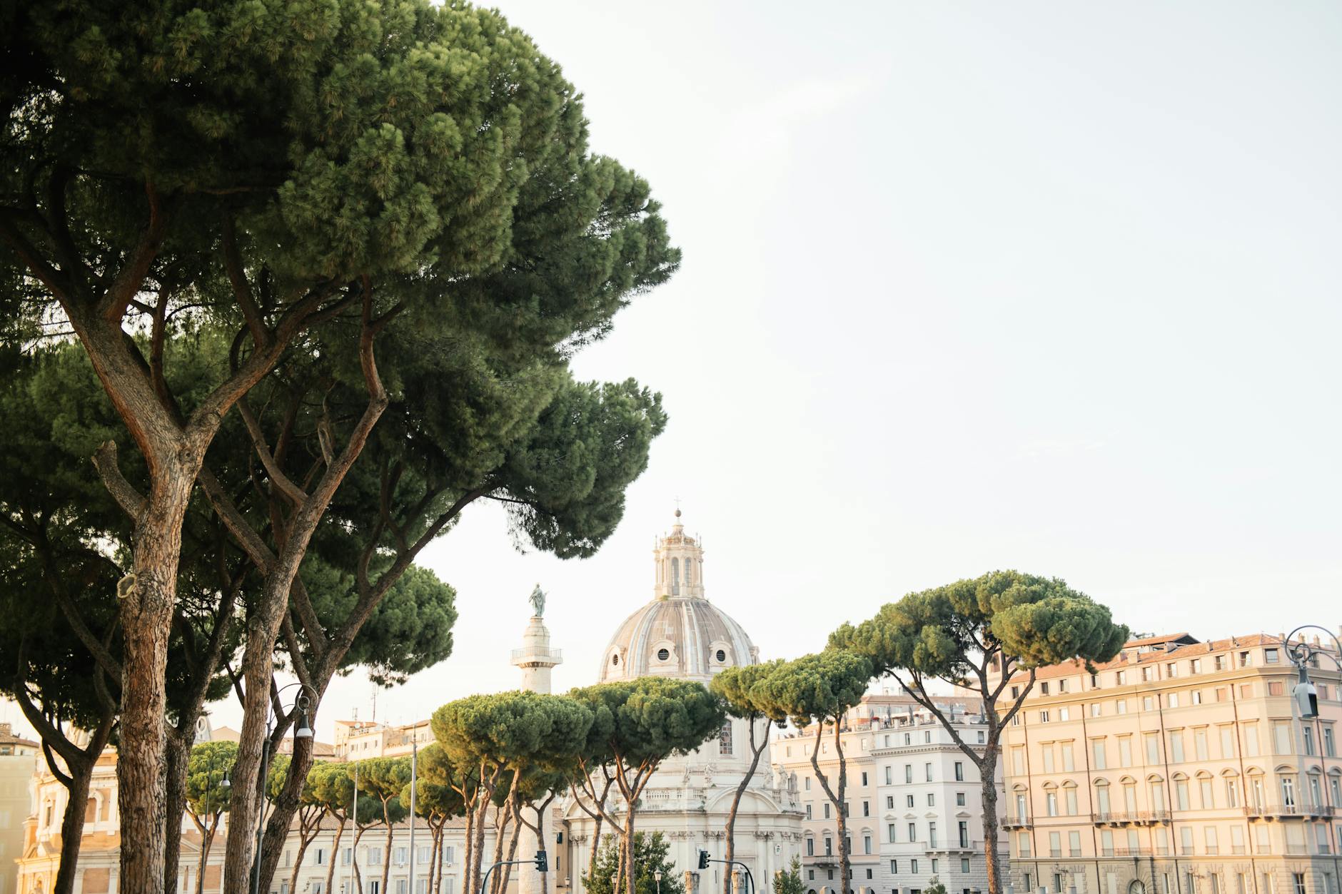 Rome travel image