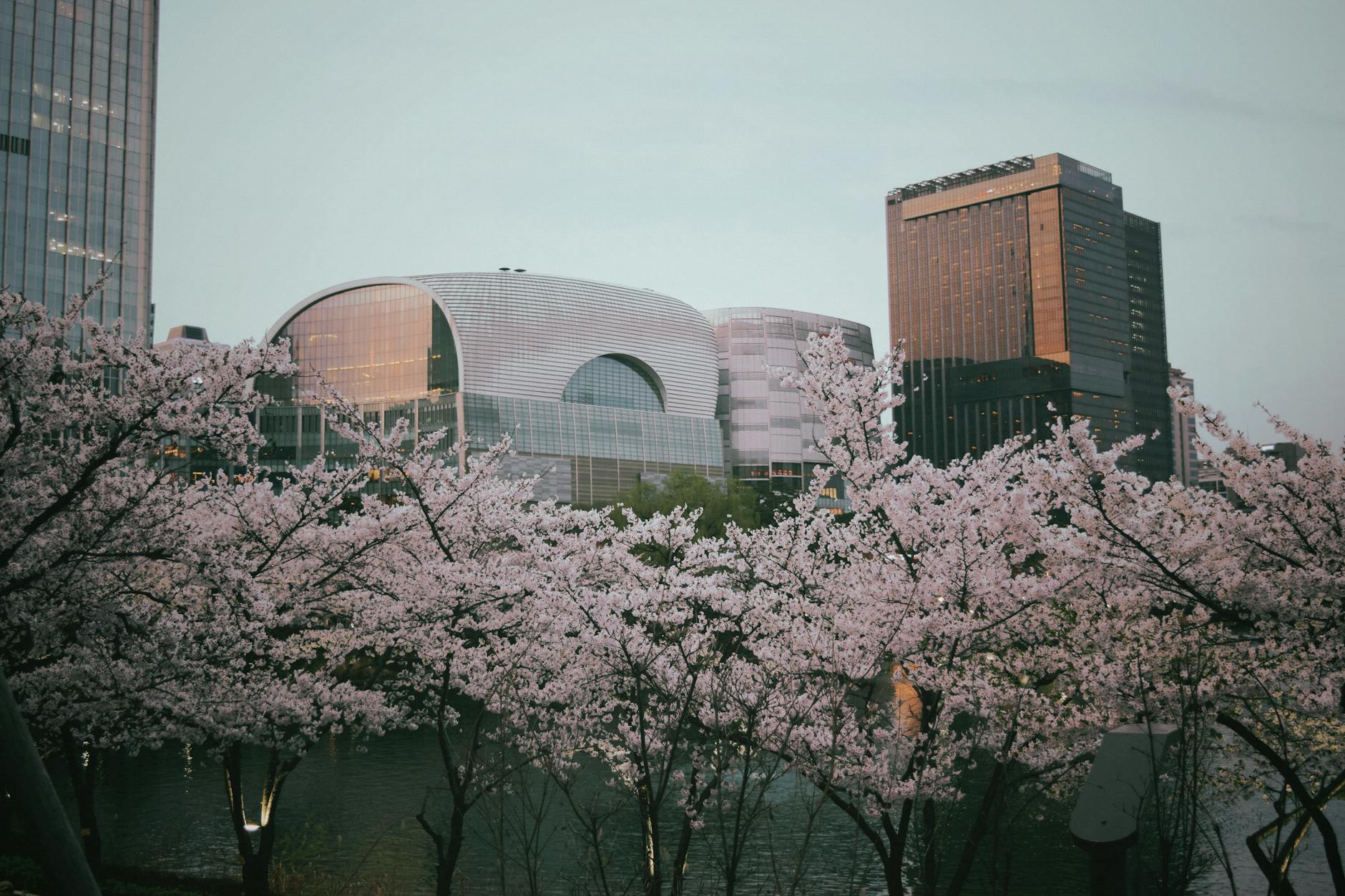 Seoul travel image